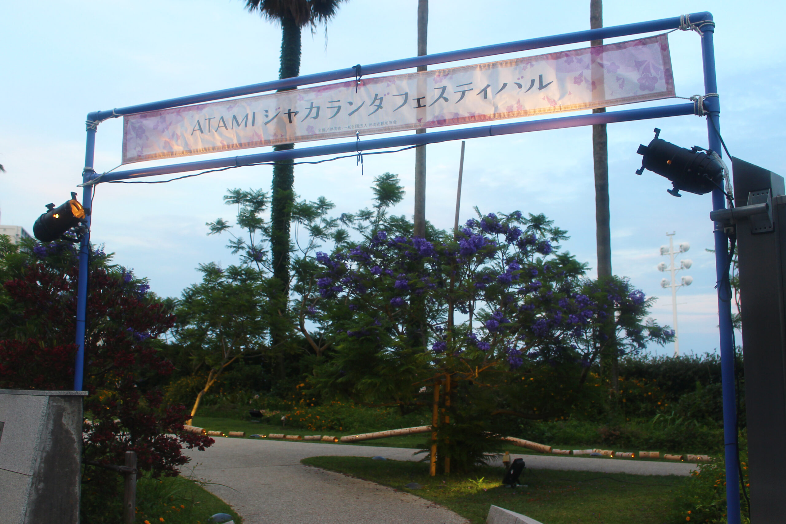 熱海ジャカランダ