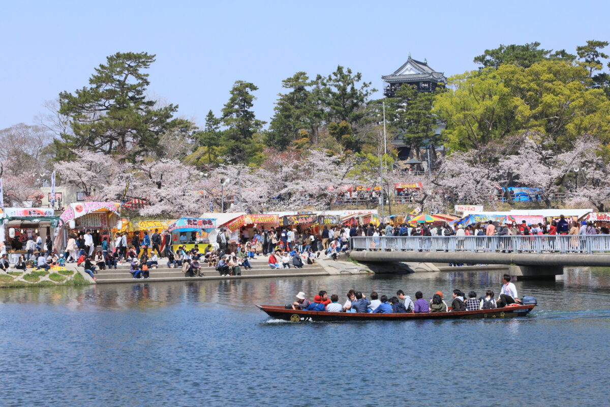 岡崎桜まつり