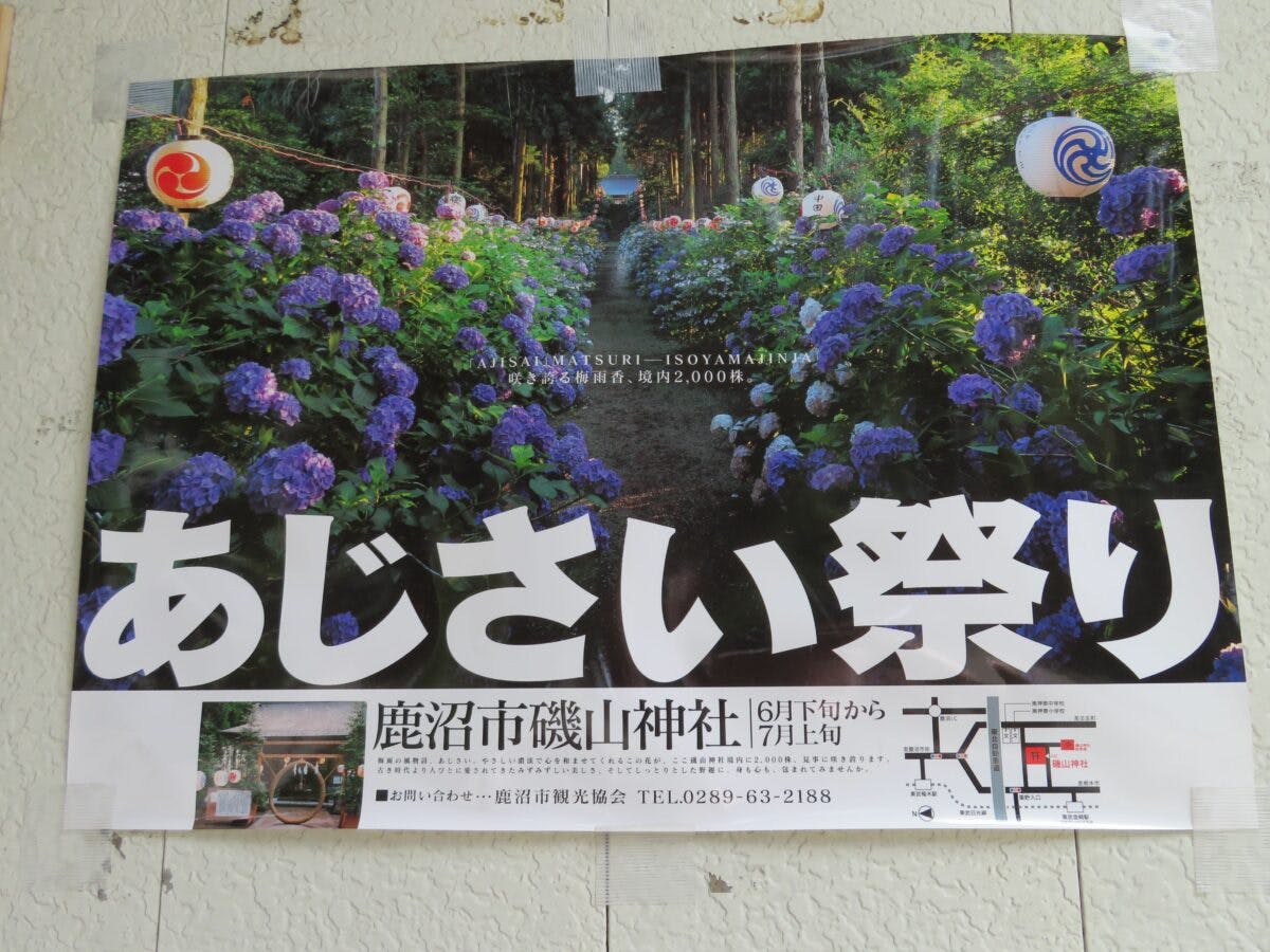 磯山神社あじさい祭りが開催される境内では約2500株のあじさいが見頃 オマツリジャパン 毎日 祭日 磯山神社あじさい祭りが開催される境内では約2500株のあじさいが見頃 オマツリジャパン 毎日 祭日