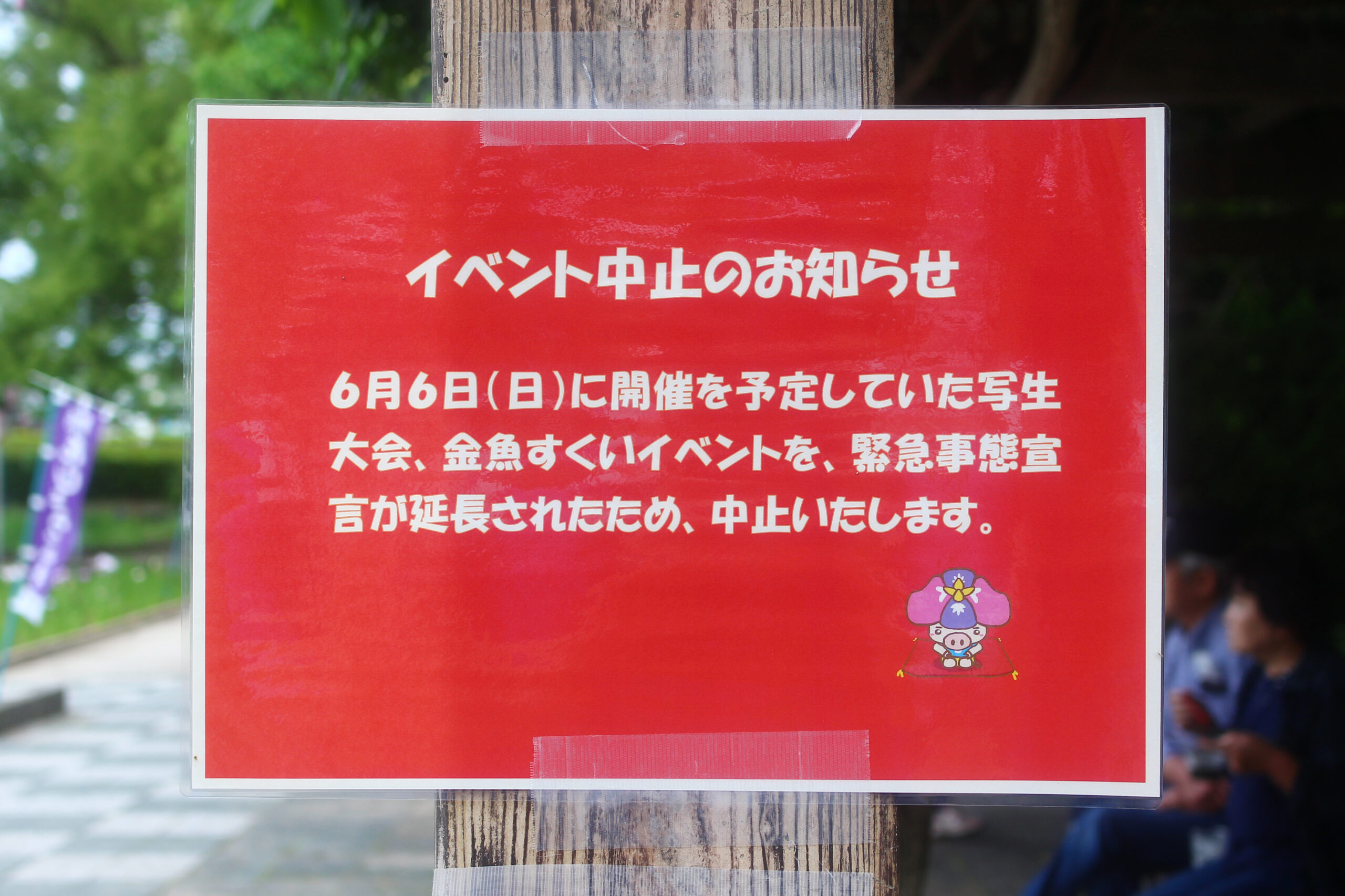 碧南市花しょうぶ