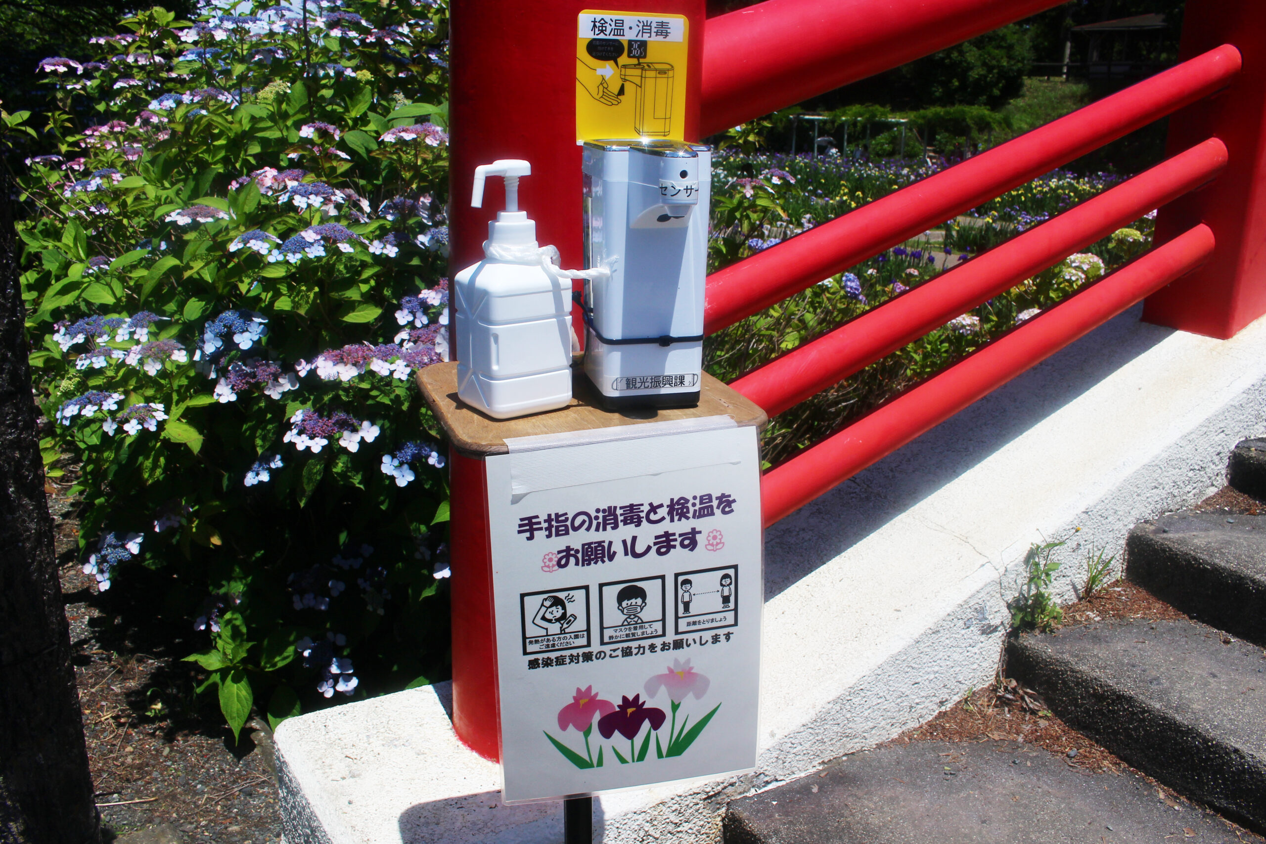 賀茂しょうぶ園