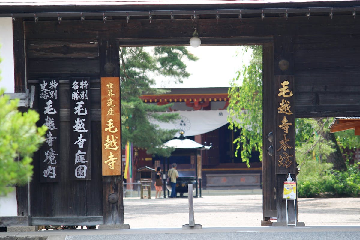 毛越寺あやめまつりで咲く 300種株の花菖蒲 写経体験 限定御朱印も必見 オマツリジャパン 毎日 祭日 毛越寺あやめまつりで咲く 300種株の花菖蒲 写経体験 限定御朱印も必見 オマツリジャパン 毎日 祭日