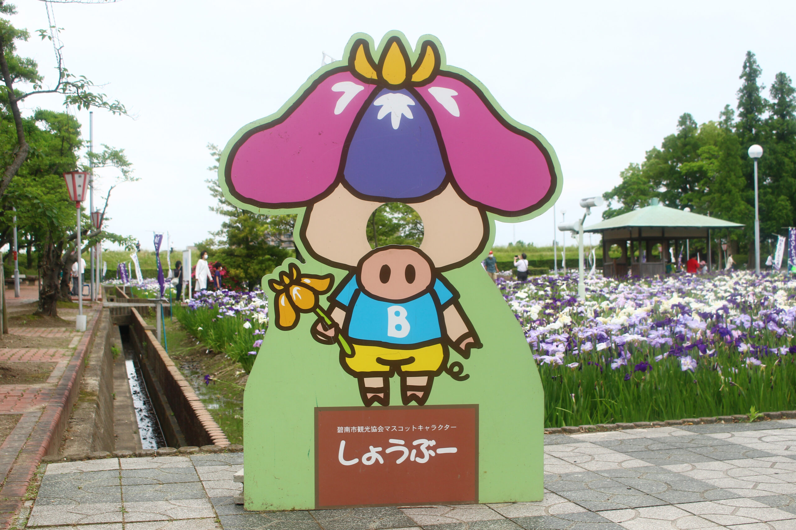 碧南市花しょうぶ