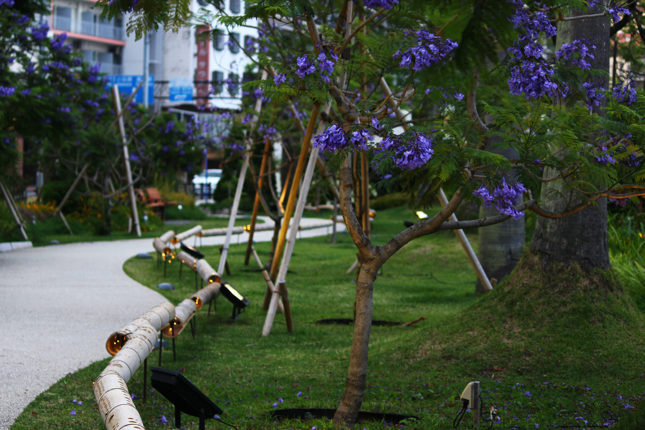 熱海ジャカランダ