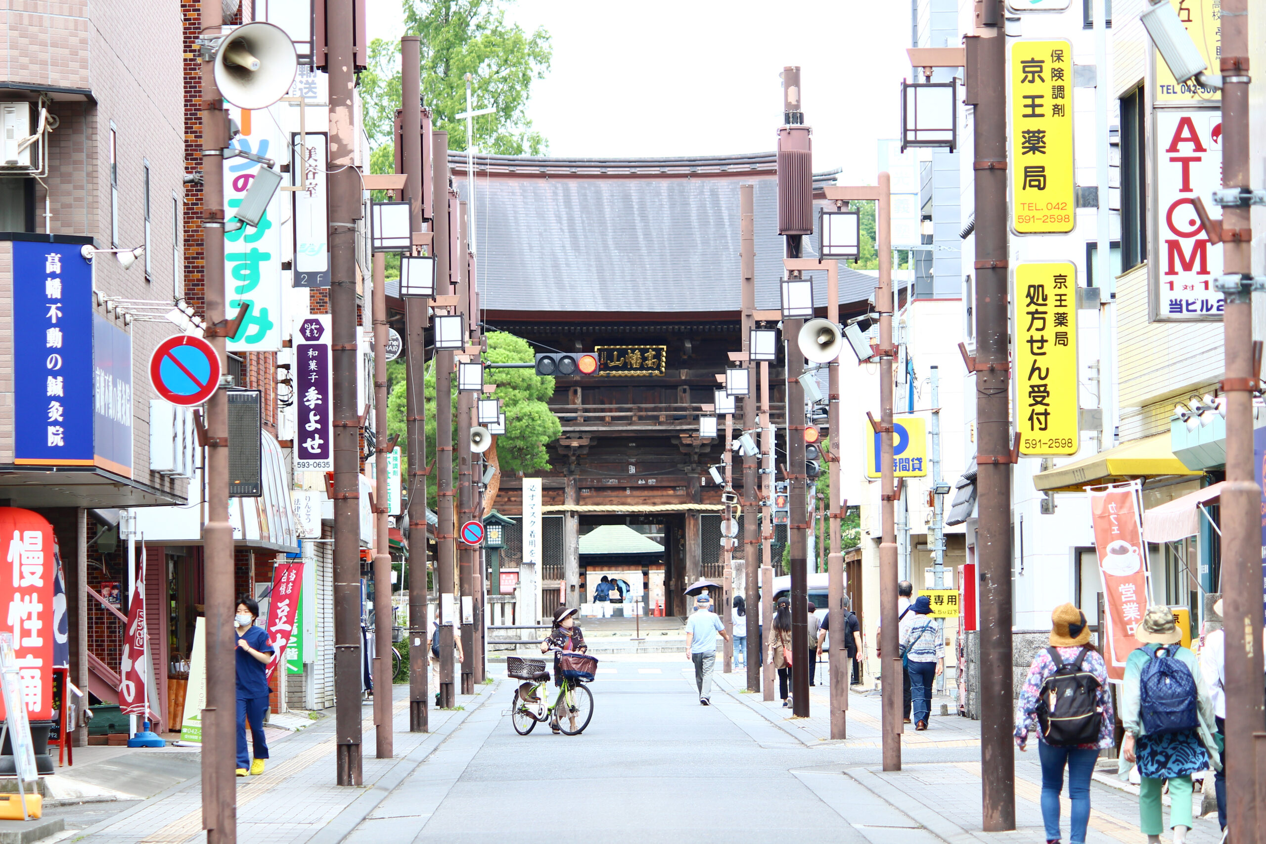 高幡不動尊あじさい