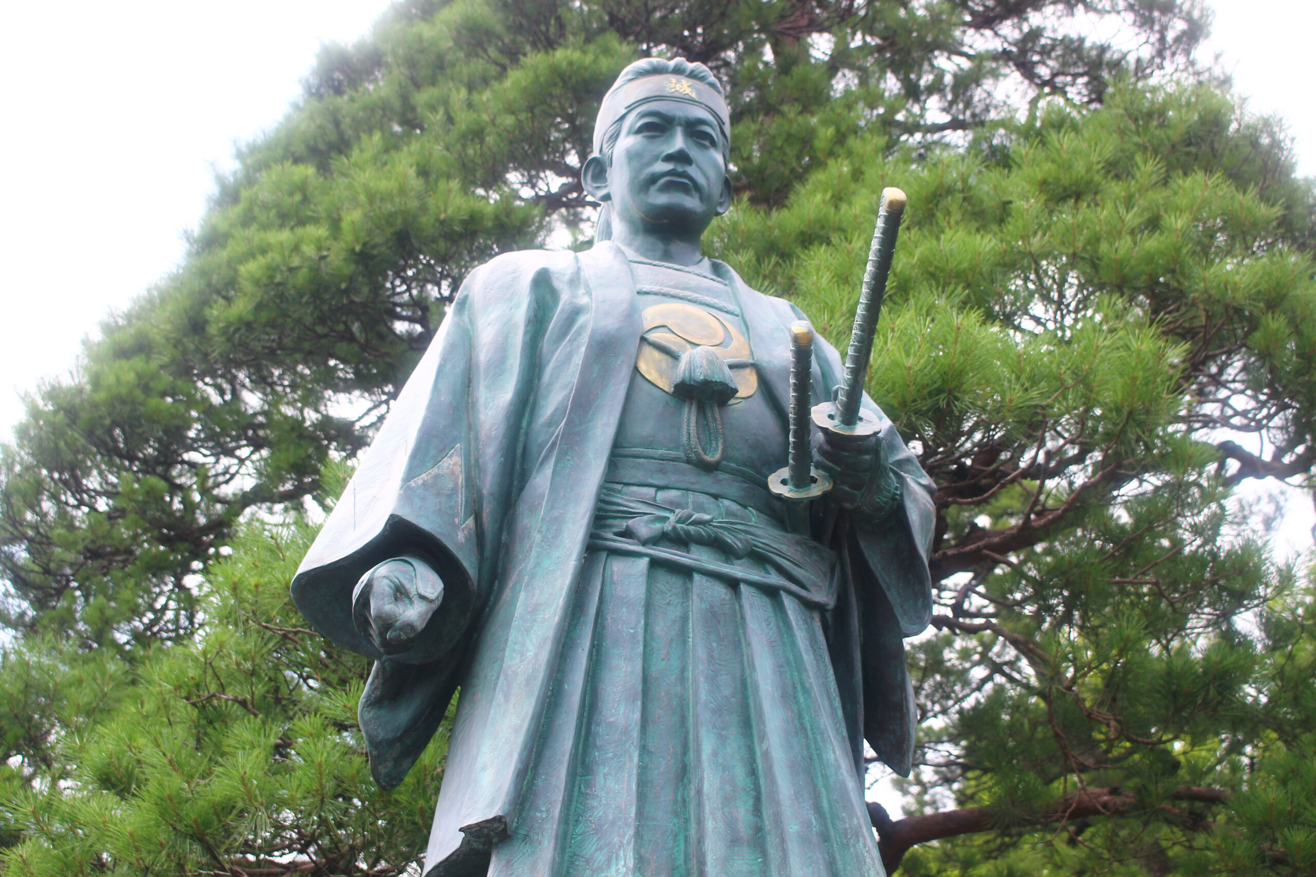 高幡不動尊あじさい