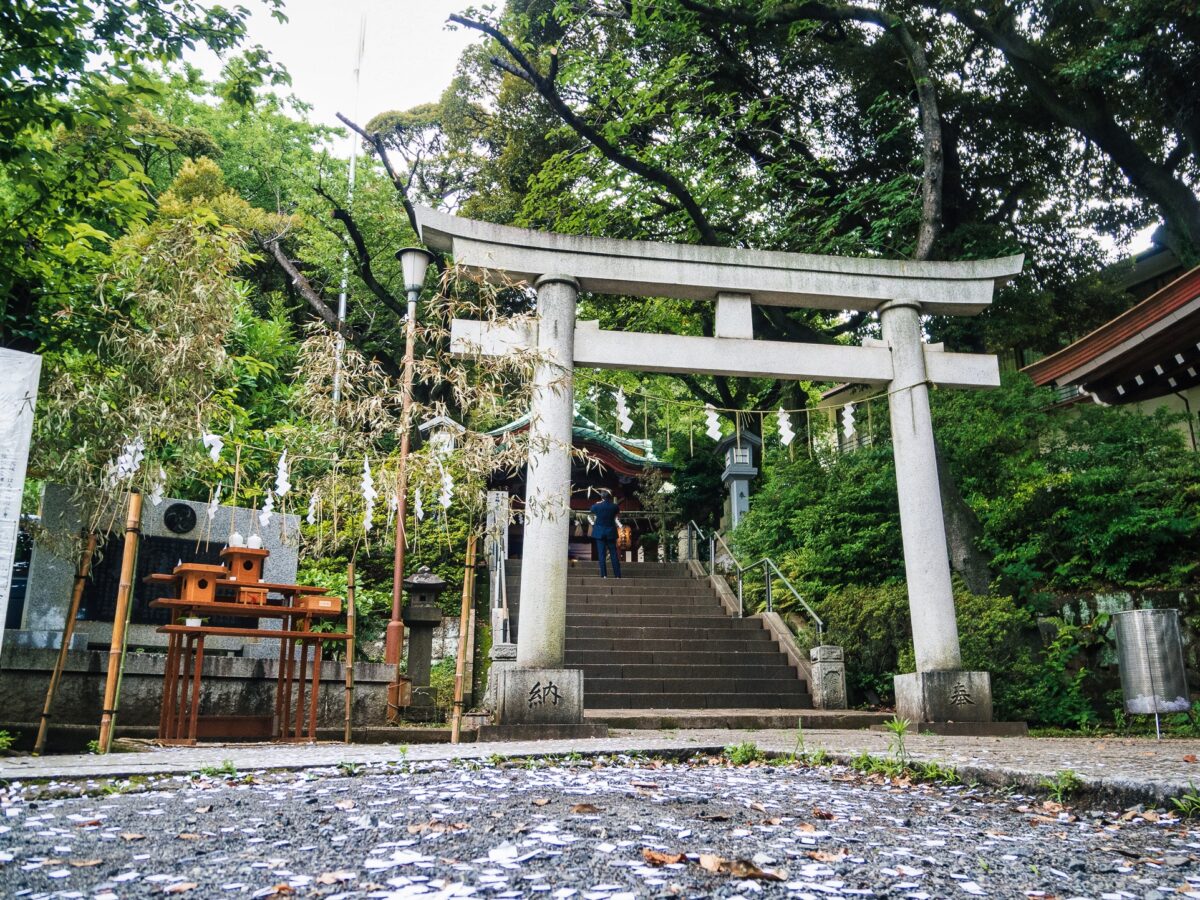 【雪ヶ谷八幡神社】夏越大祓祭