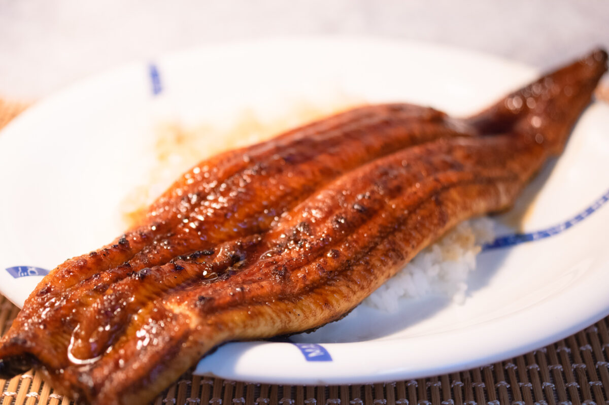 イトーヨーカドーの「静岡県産特大うなぎ」