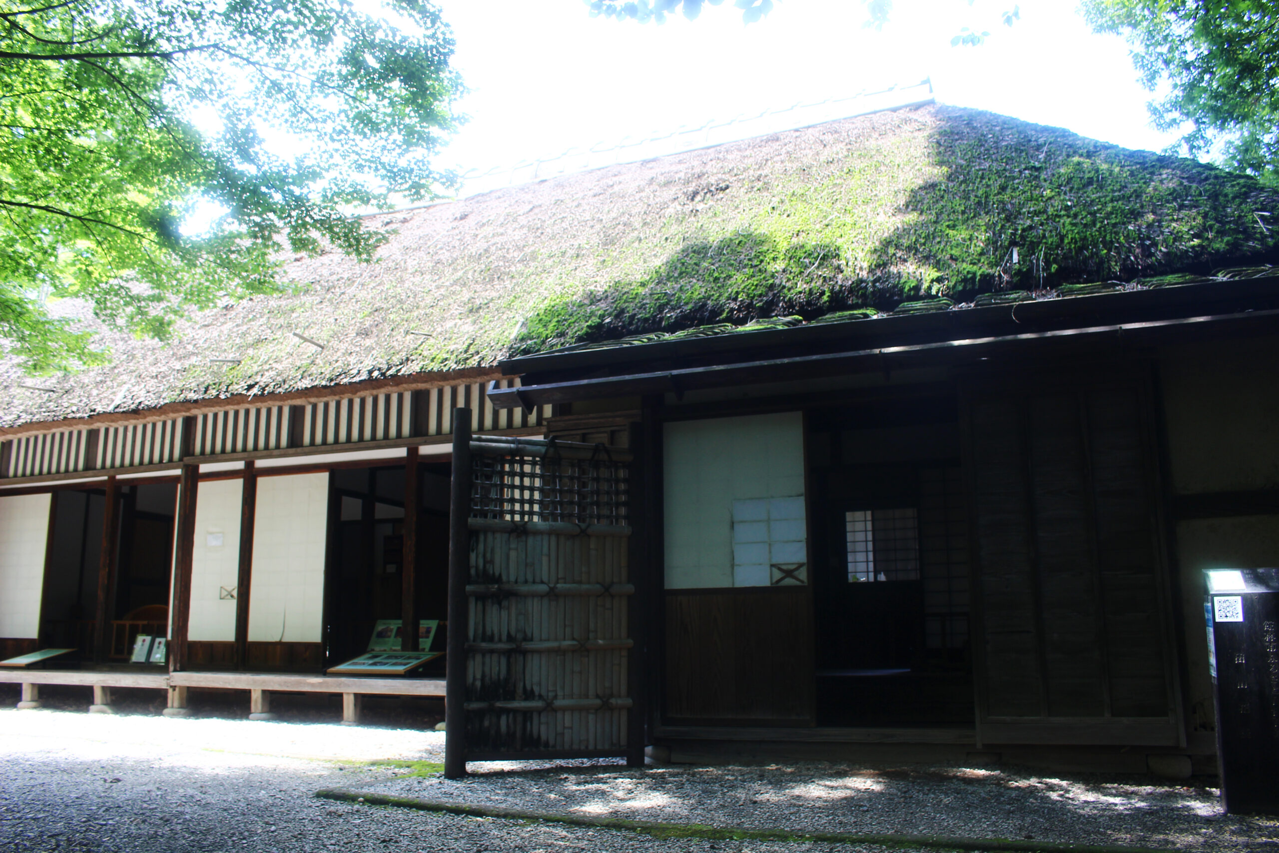 夏の城沼花ハスまつり