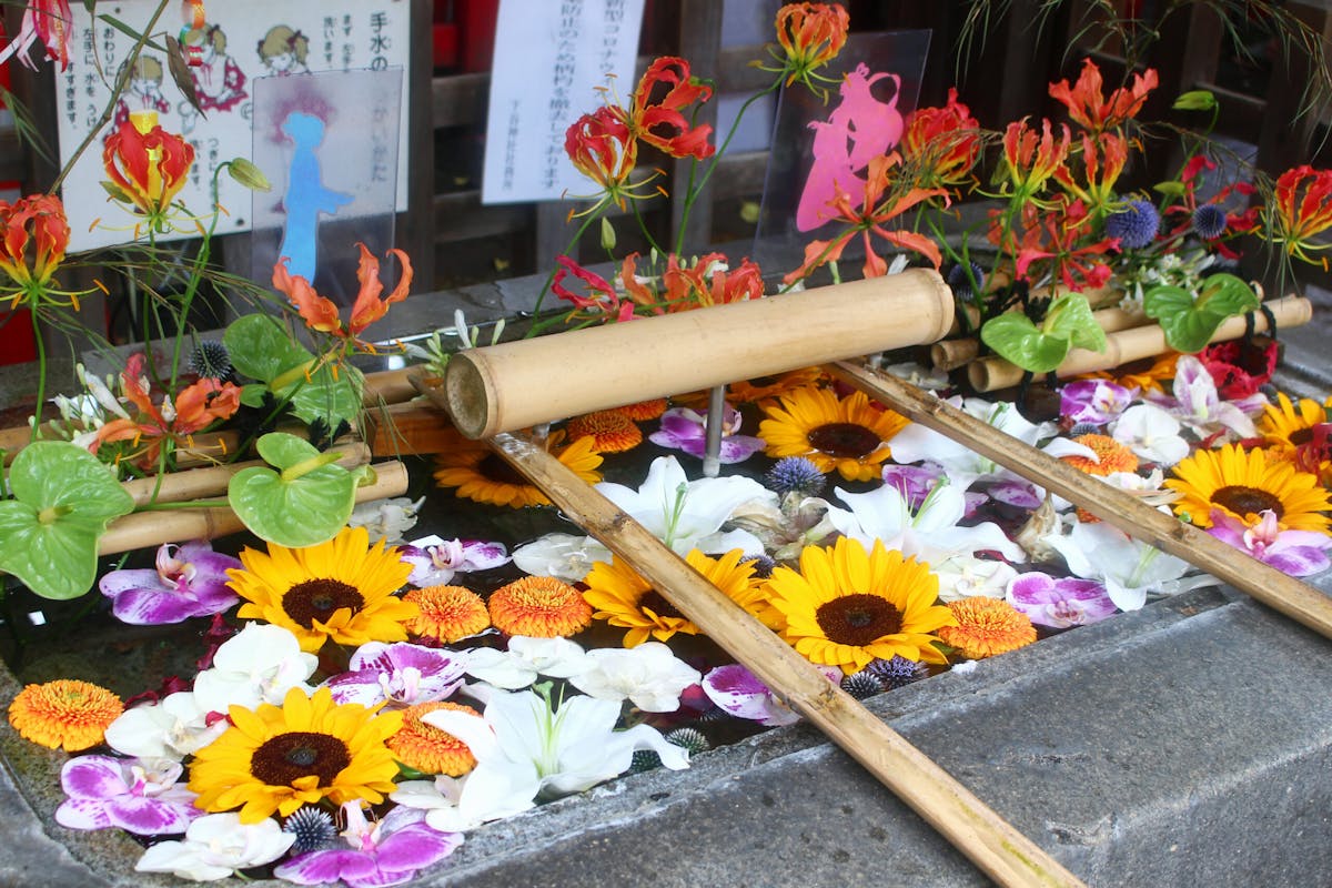 夏らしい花手水も 2種類の七夕限定御朱印がある下谷神社 オマツリジャパン あなたと祭りをつなげるメディア