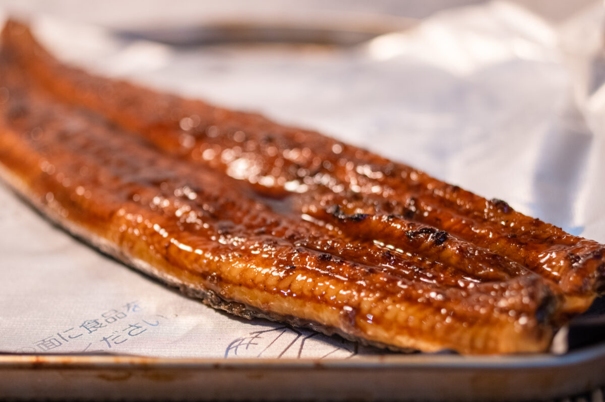 イトーヨーカドーの「静岡県産特大うなぎ」