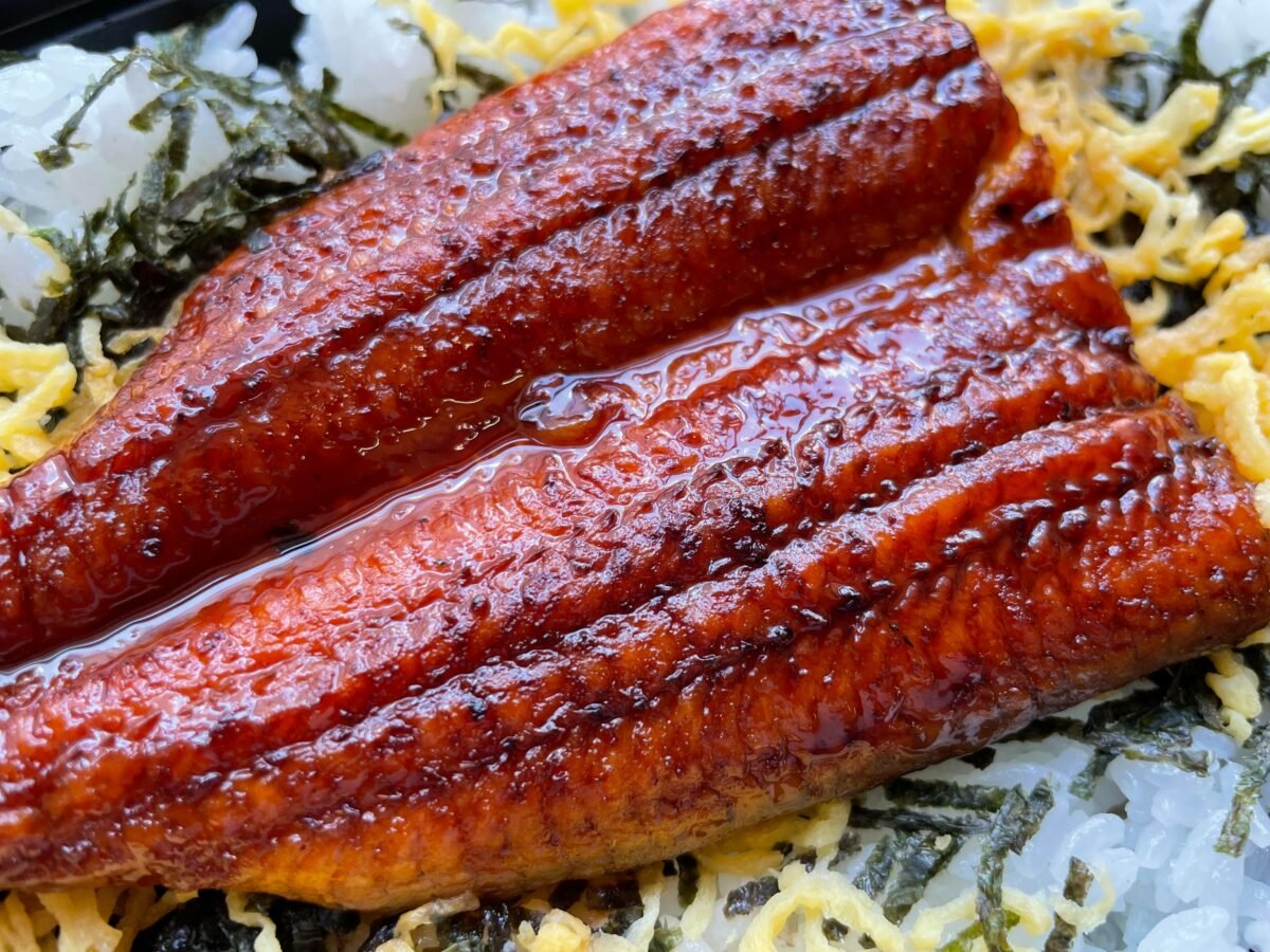 ココスのうなぎ