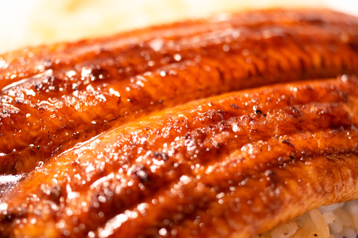 ウナギの蒲焼き