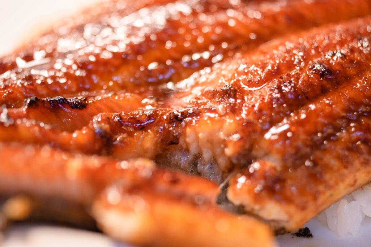 イトーヨーカドーの「静岡県産特大うなぎ」