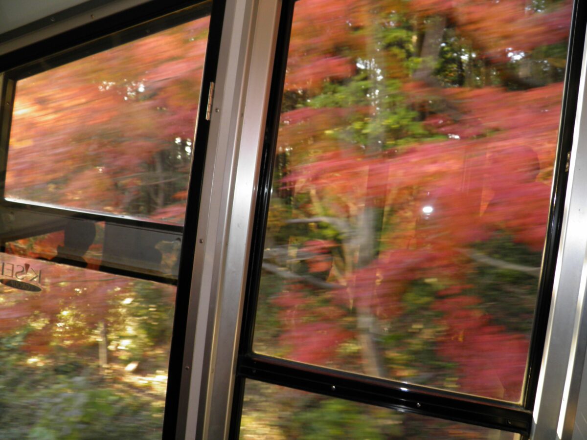 8月29日はケーブルカーの日！筑波山もみじまつり期間に車窓を流れる紅葉