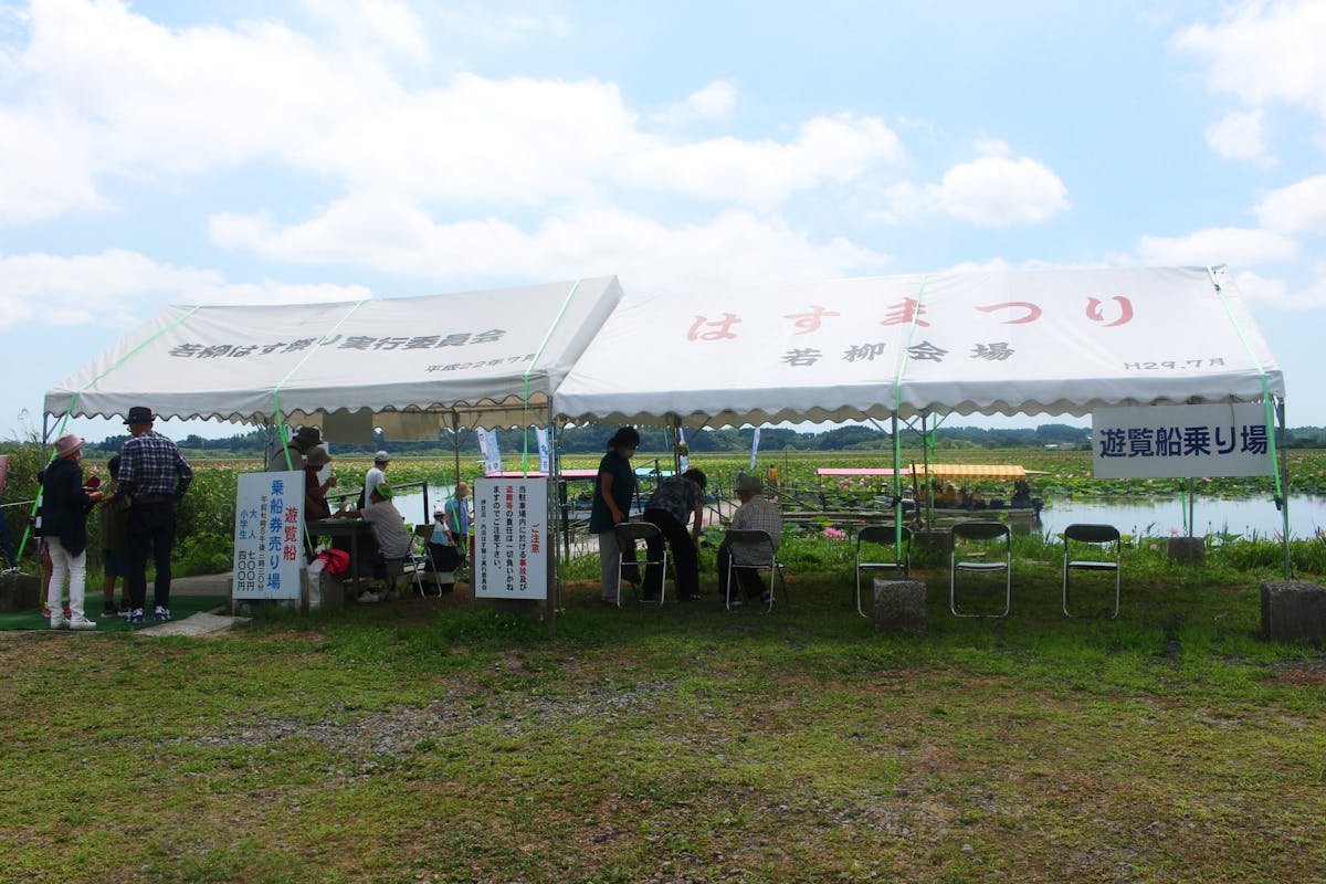 伊豆沼 内沼はすまつり21 遊覧船で沼を探検 ピンクの花が目の前に オマツリジャパン あなたと祭りをつなげるメディア 伊豆沼 内沼はすまつり21 遊覧船で沼を探検 ピンクの花が目の前に オマツリジャパン あなたと祭りをつなげるメディア