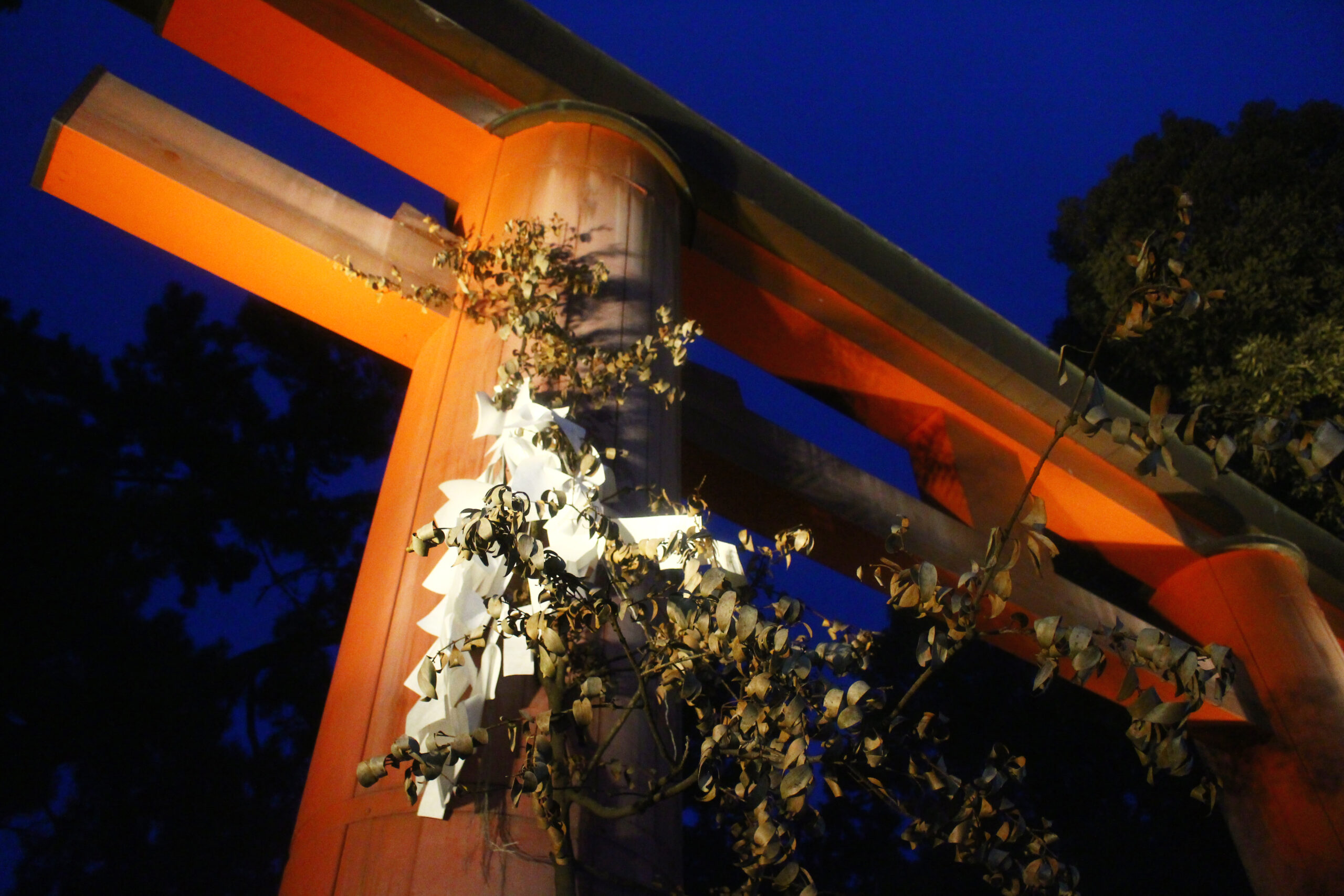 ライトアッププロムナードなら