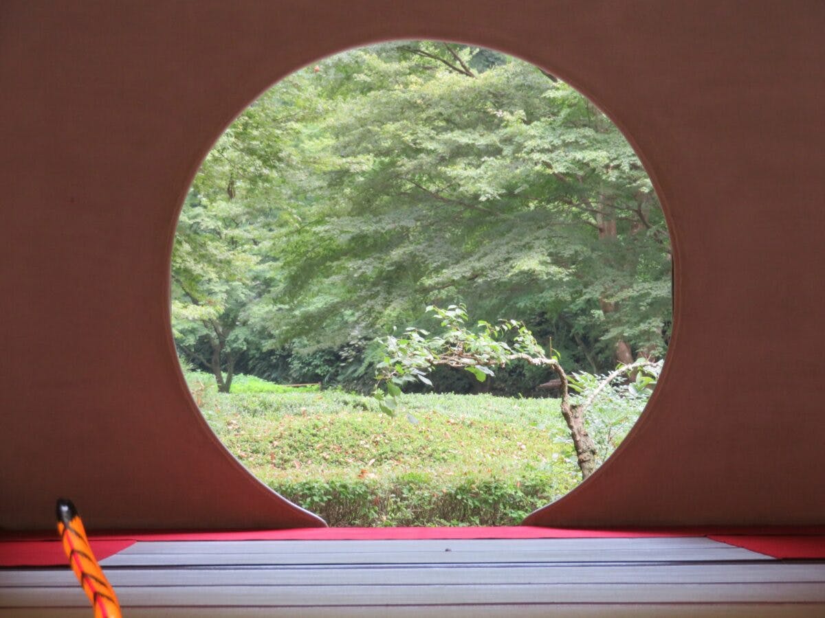 明月院とは 御朱印にご本尊が記される寺院を埋め尽くすアジサイブルー オマツリジャパン あなたと祭りをつなげるメディア 明月院とは 御朱印にご本尊が記される寺院を埋め尽くすアジサイブルー オマツリジャパン あなたと祭りをつなげるメディア