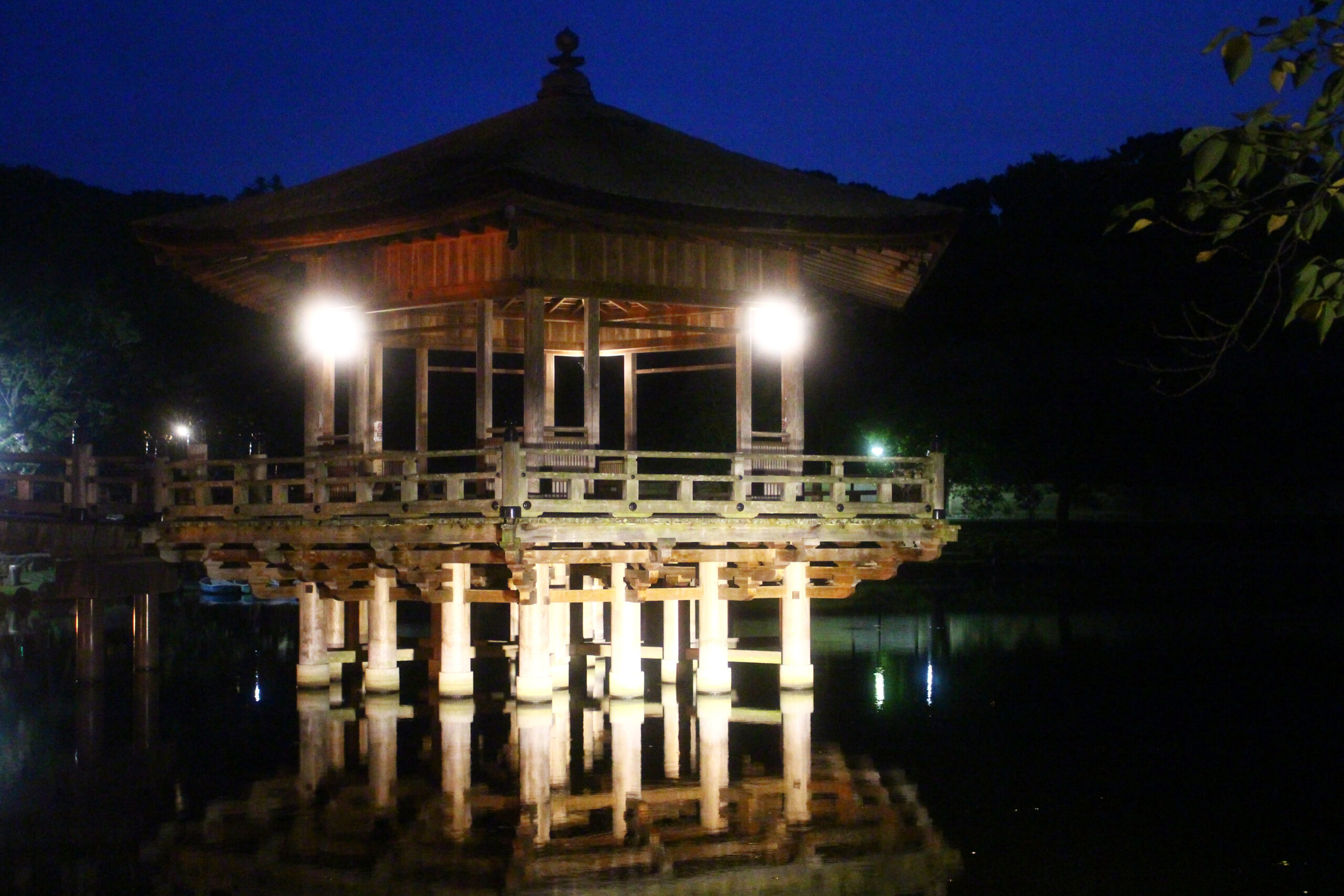 ライトアッププロムナードなら