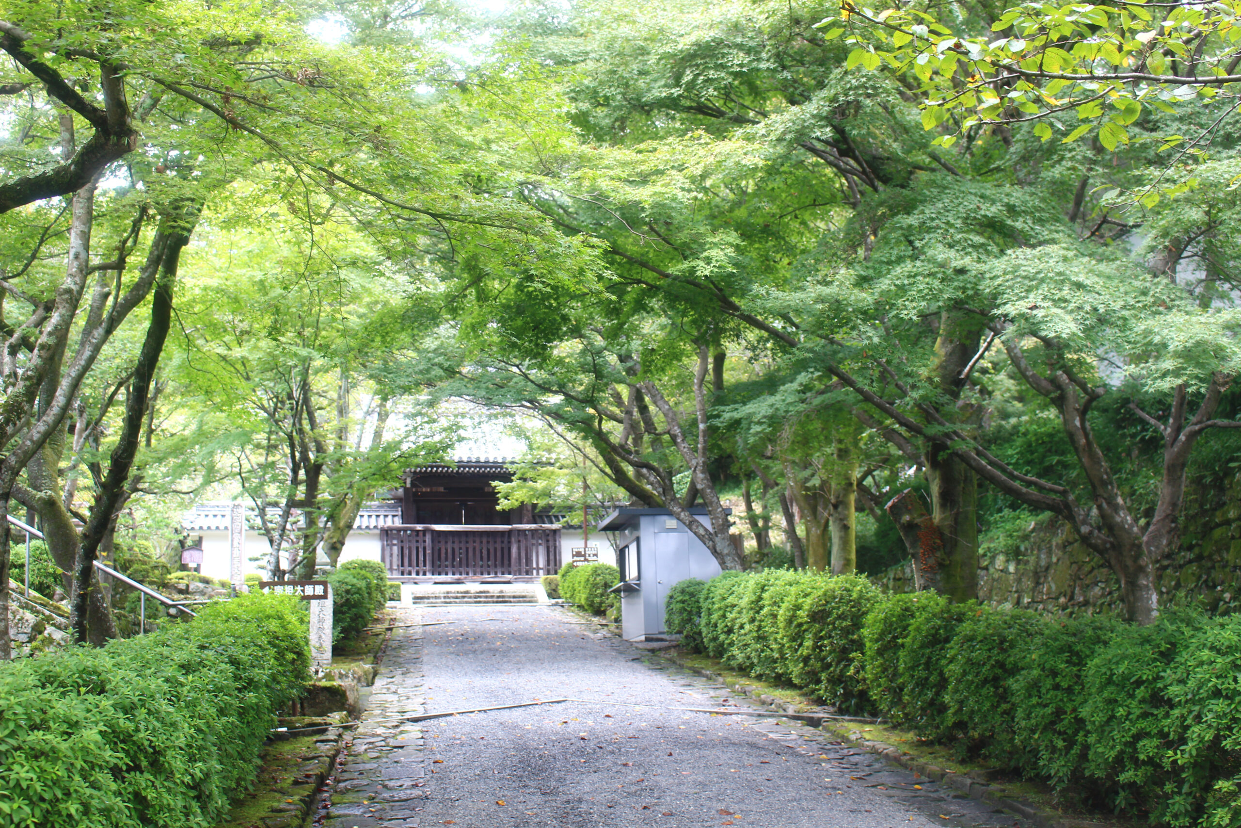 風鈴参道通り抜け
