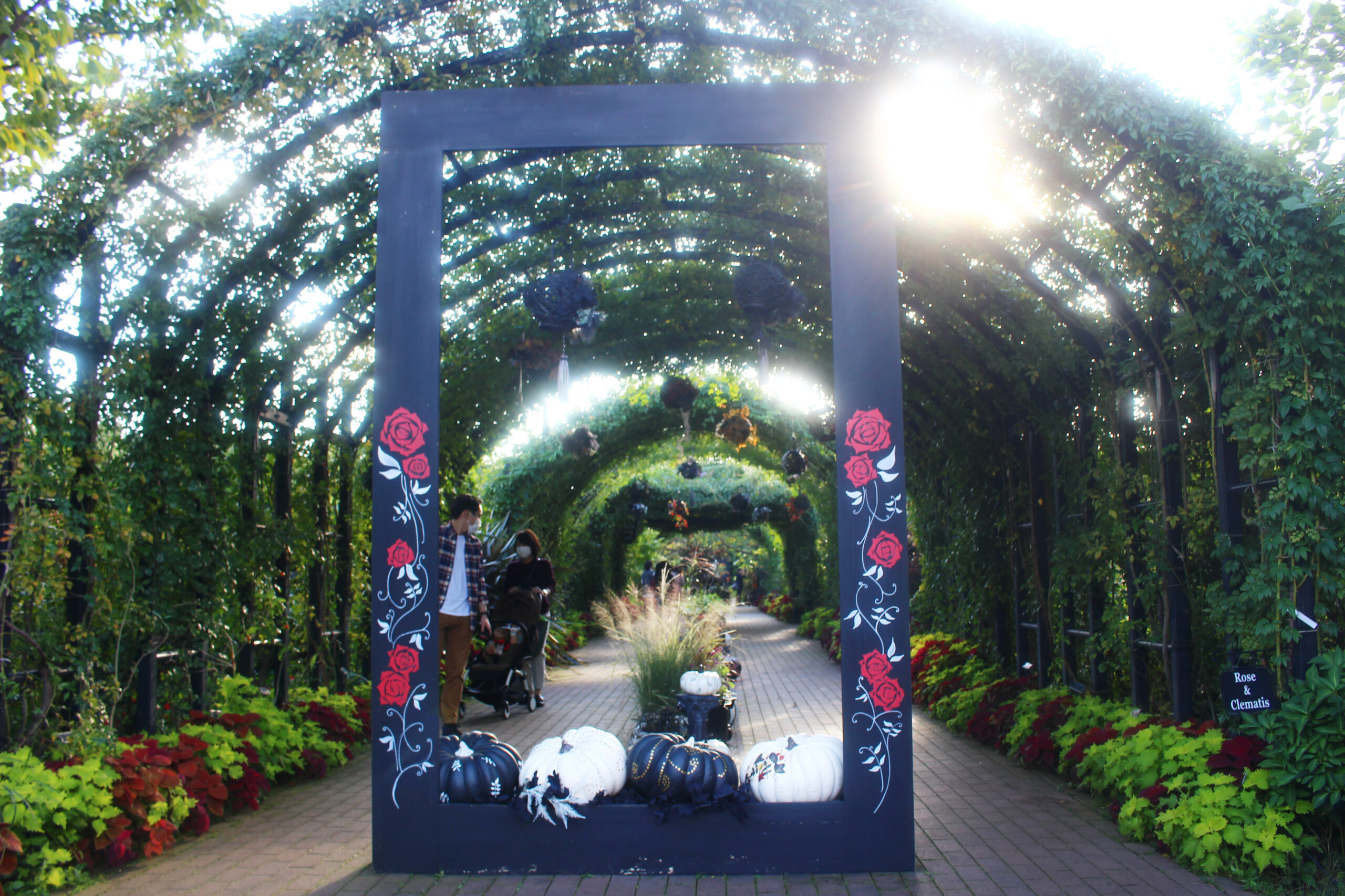 オータムガーデンフェスティバル