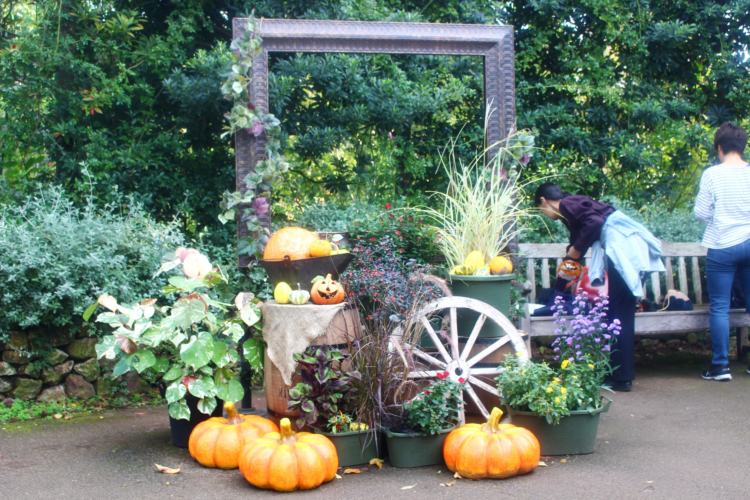 オータムガーデンフェスティバル