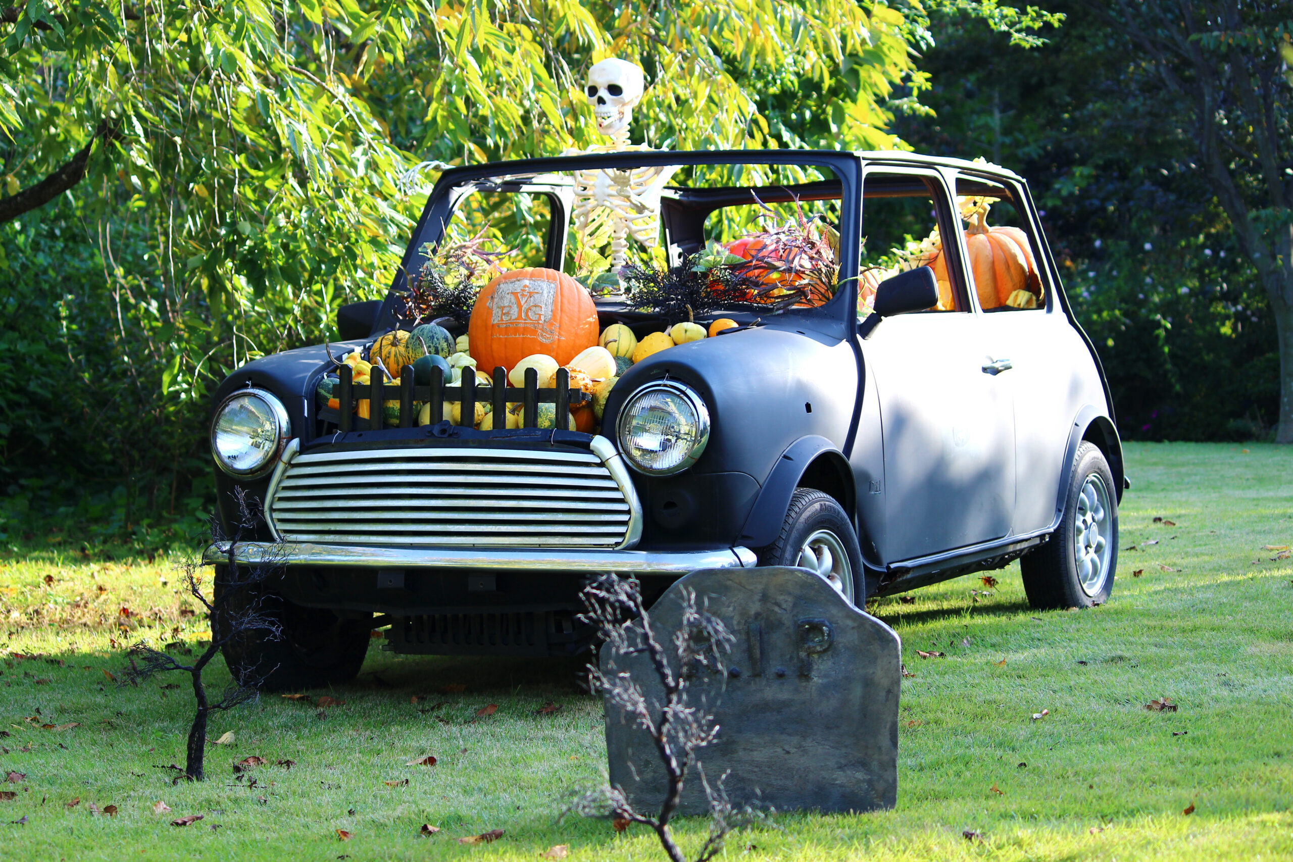 オータムガーデンフェスティバル