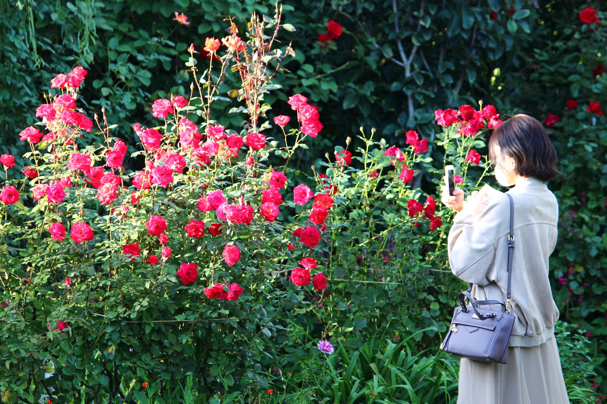 オータムガーデンフェスティバル