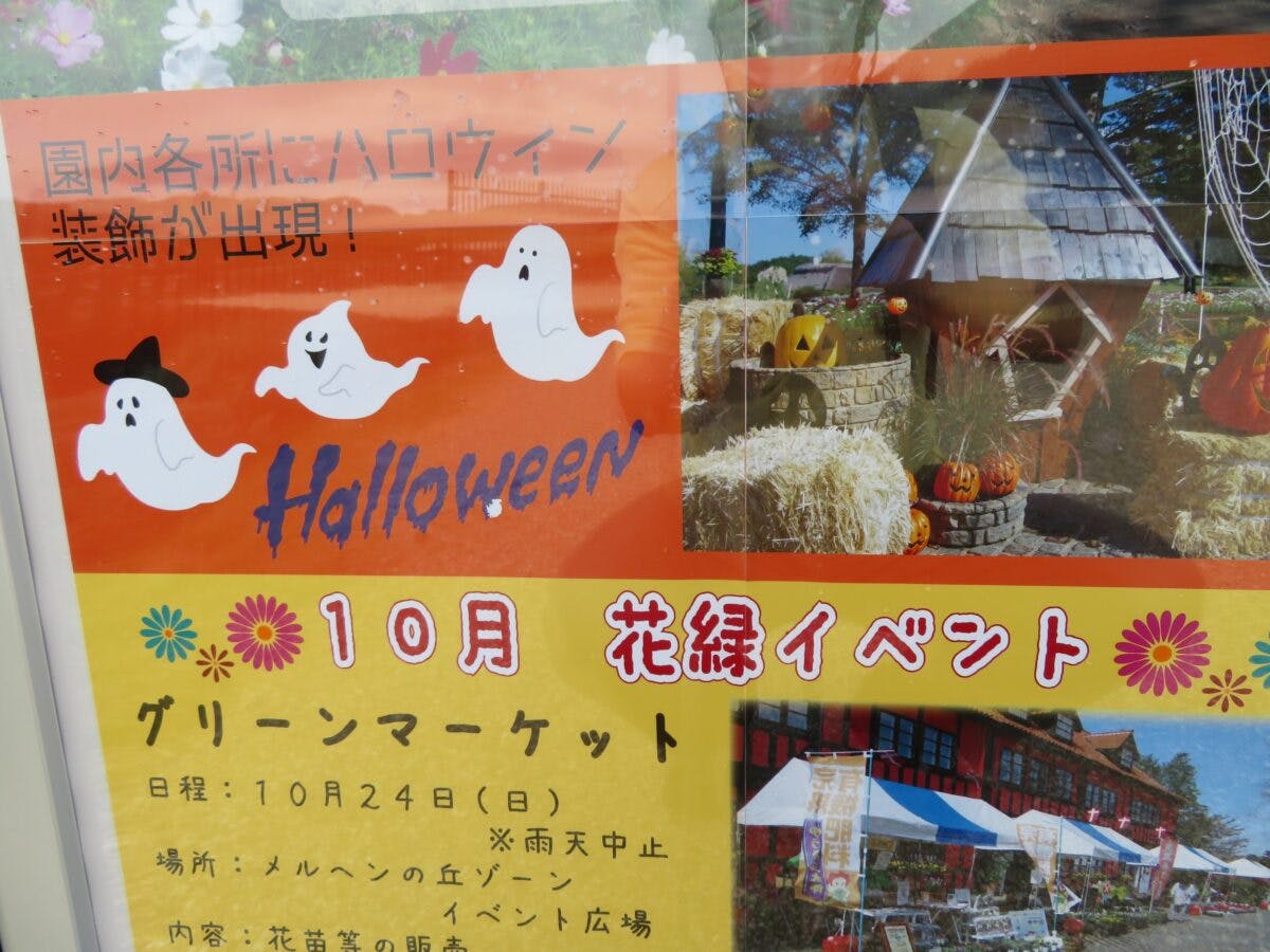 ふなばしアンデルセン公園ハロウィンが開催中 園内に溢れるカボチャなどの装飾 オマツリジャパン あなたと祭りをつなげるメディア