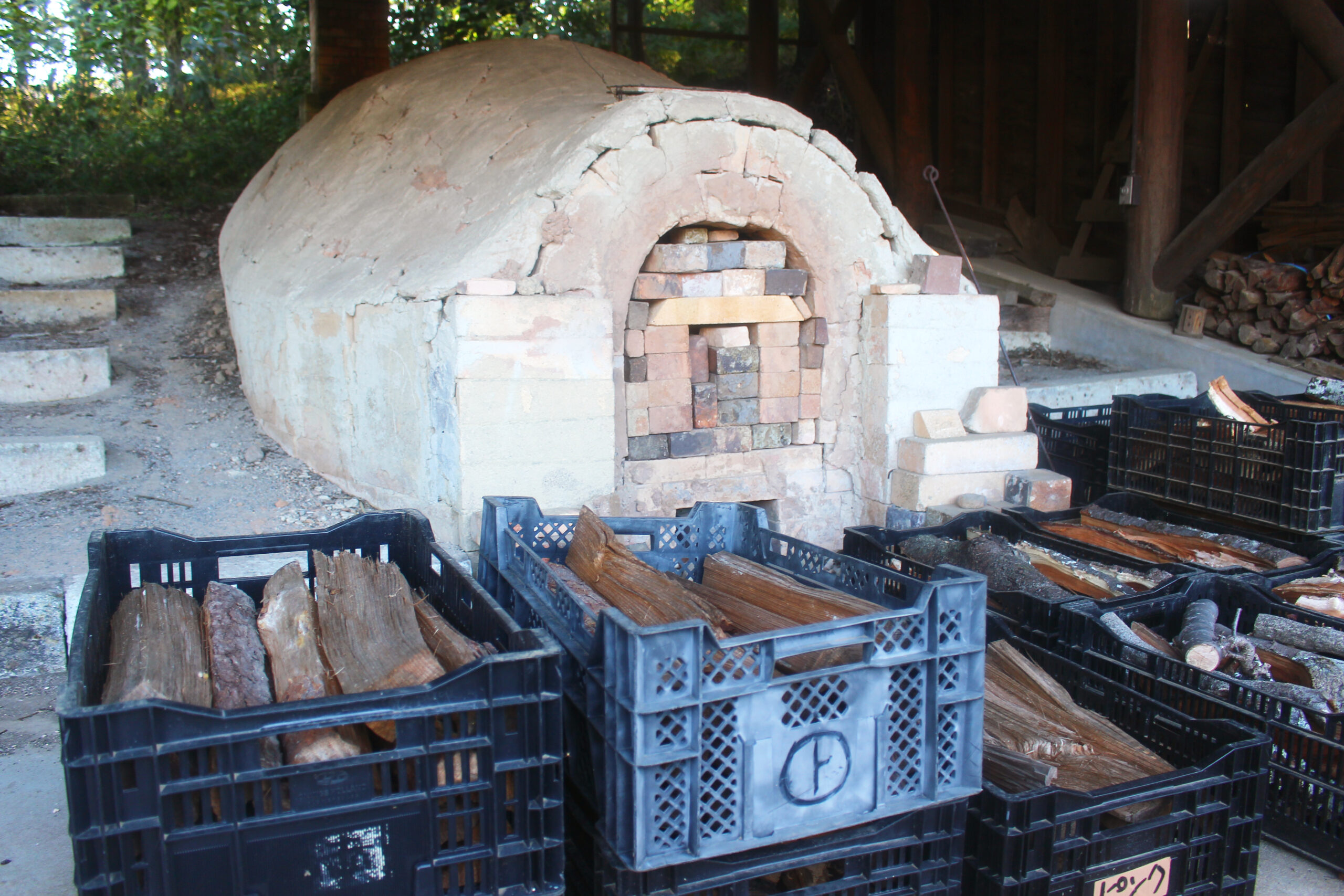 コスモスウィーク