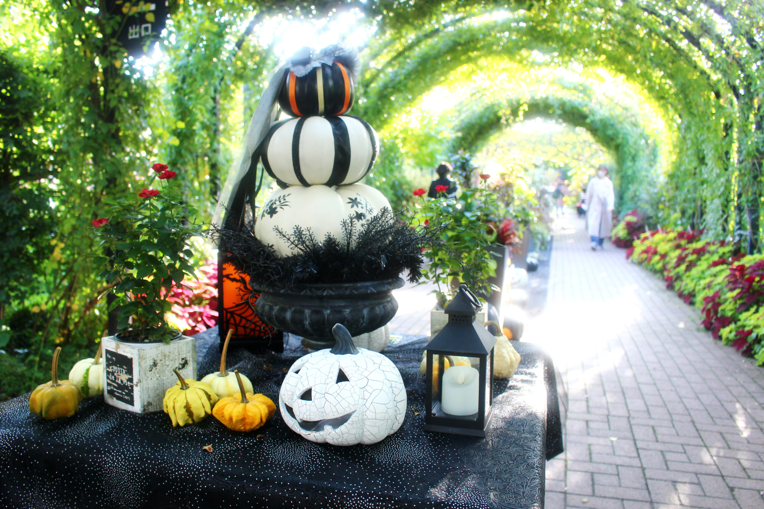 オータムガーデンフェスティバル