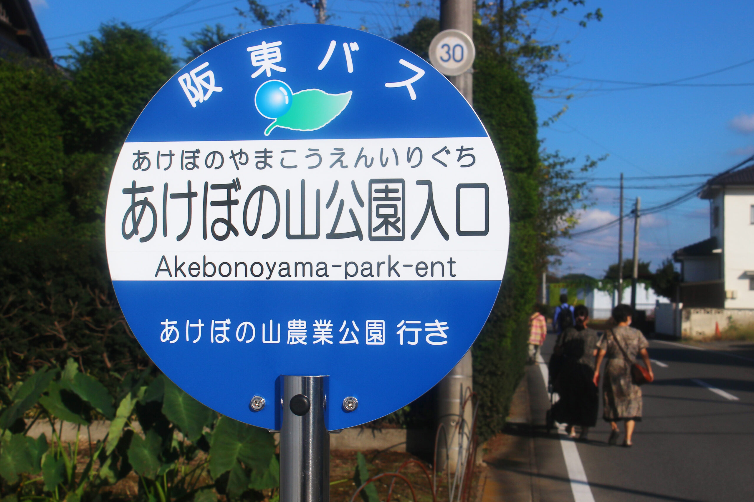 コスモスウィーク