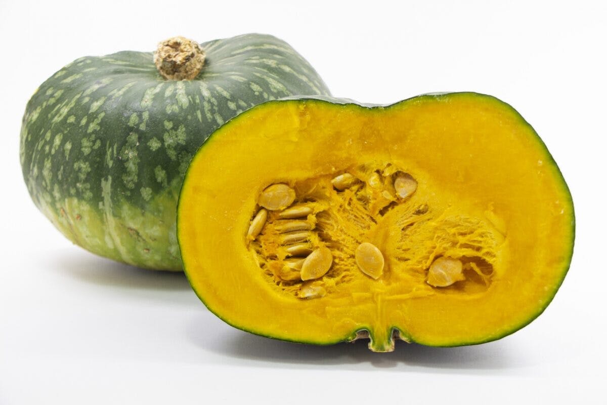 優勝カボチャは世界大会進出 日本一どでカボチャ大会 って知ってる オマツリジャパン あなたと祭りをつなげるメディア 優勝カボチャは世界大会進出 日本一どでカボチャ大会 って知ってる オマツリジャパン あなたと祭りをつなげるメディア