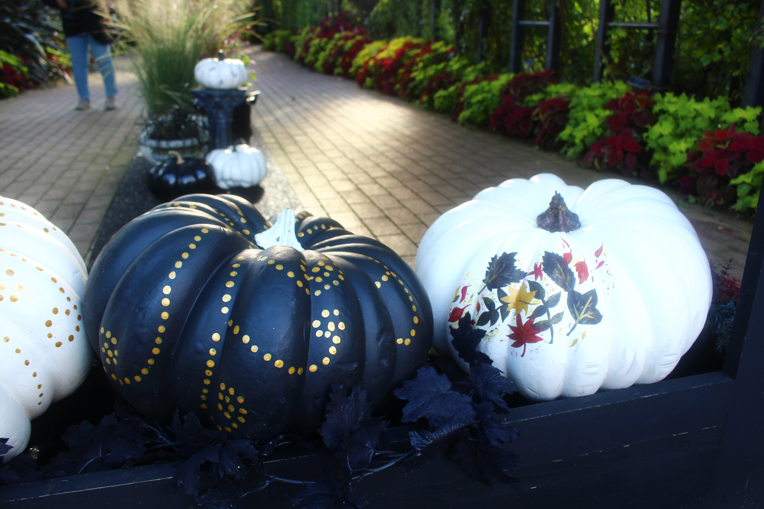 オータムガーデンフェスティバル