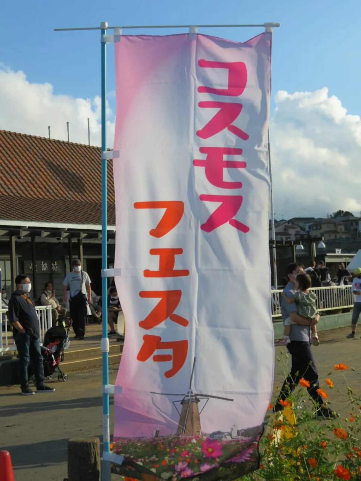 佐倉コスモスフェスタが開催中 風車を背景とする約50万の花がフォトジェニック オマツリジャパン あなたと祭りをつなげるメディア