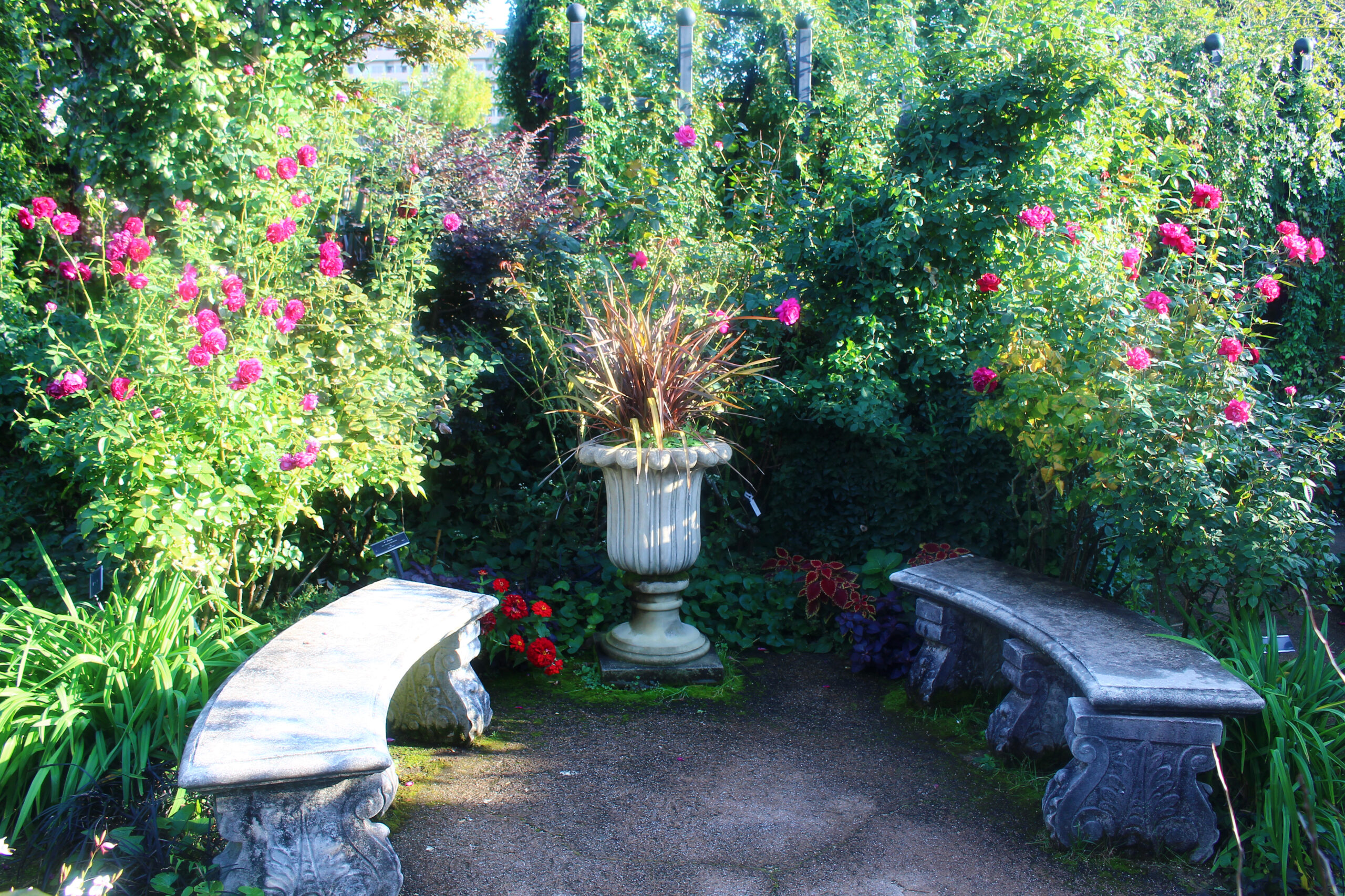 オータムガーデンフェスティバル