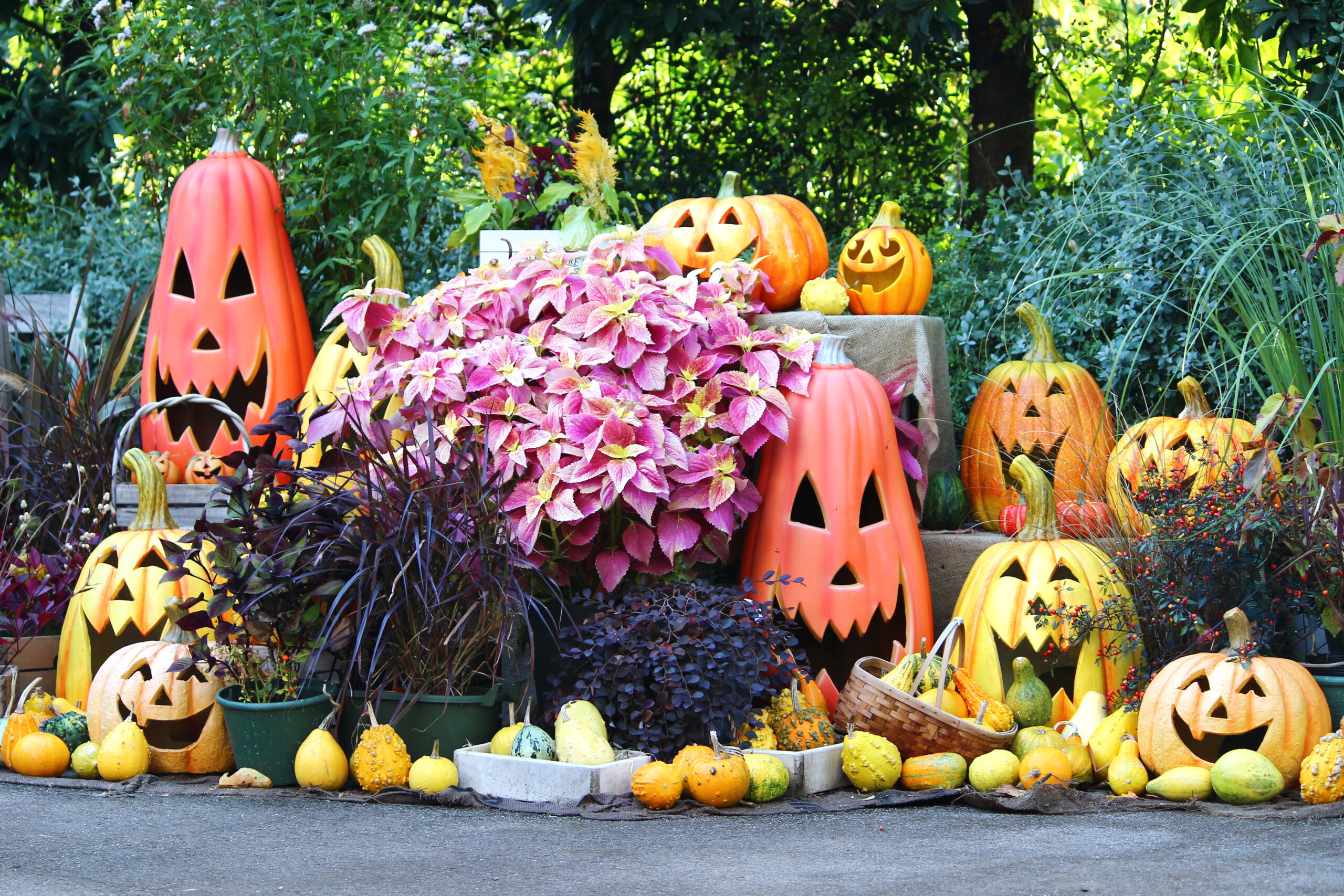 オータムガーデンフェスティバル