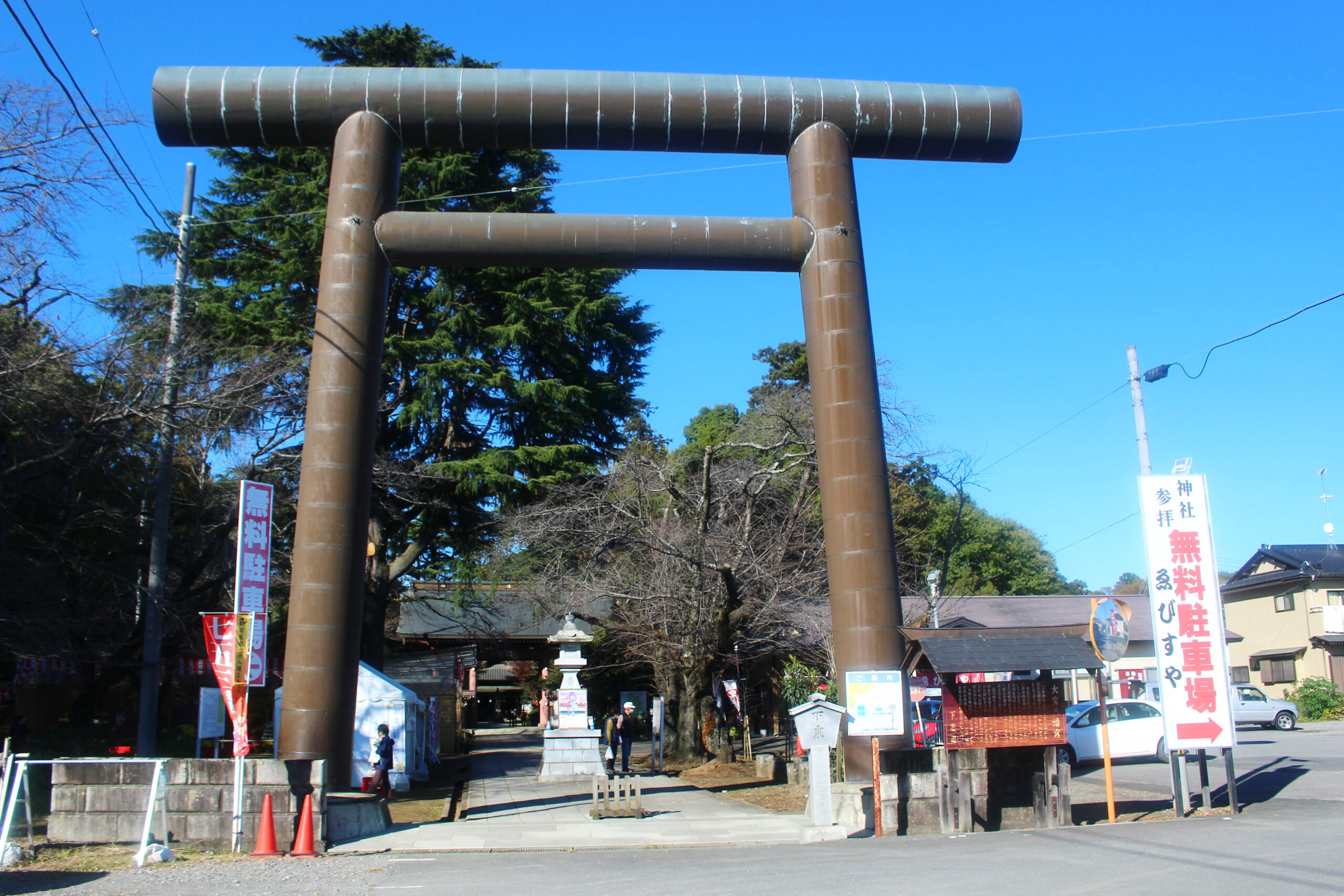 下妻市菊まつり
