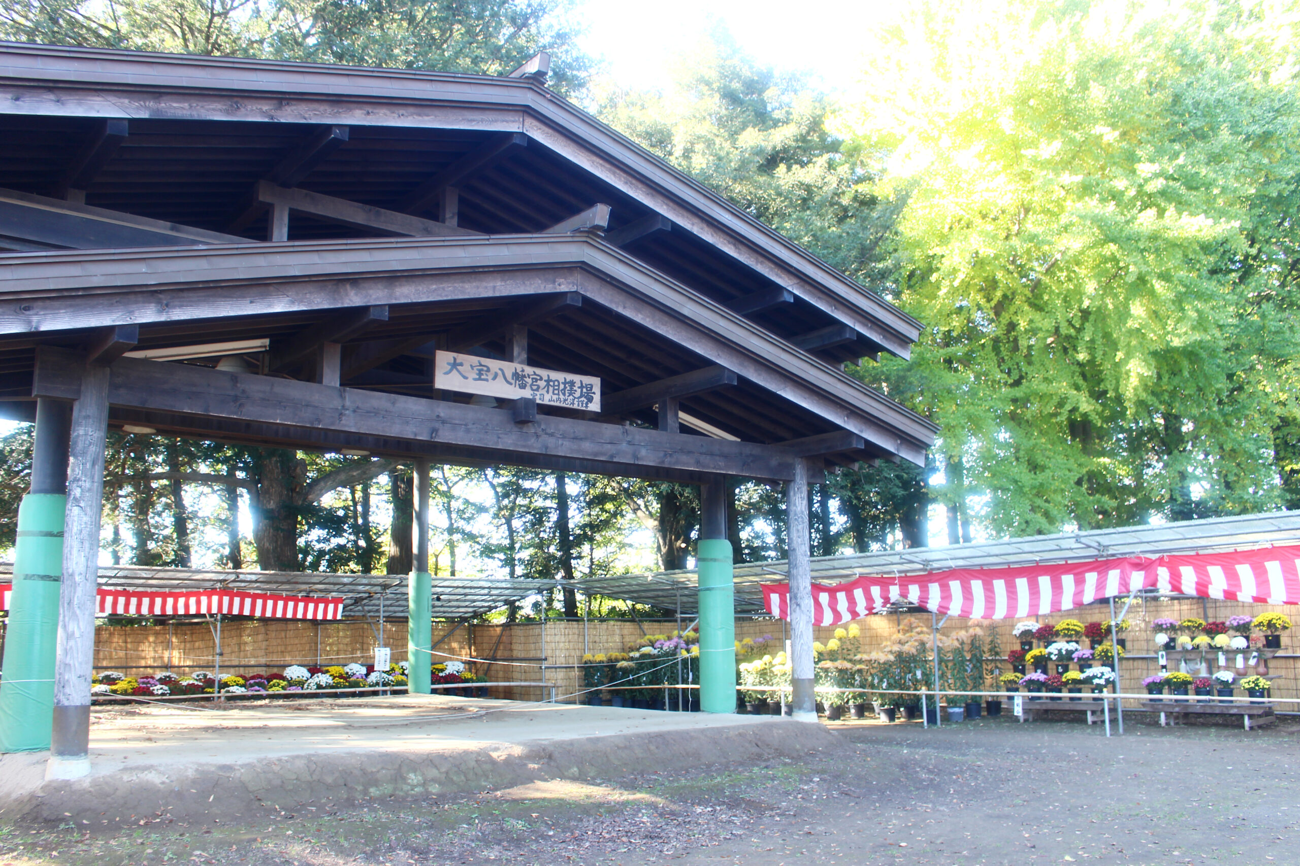 下妻市菊まつり