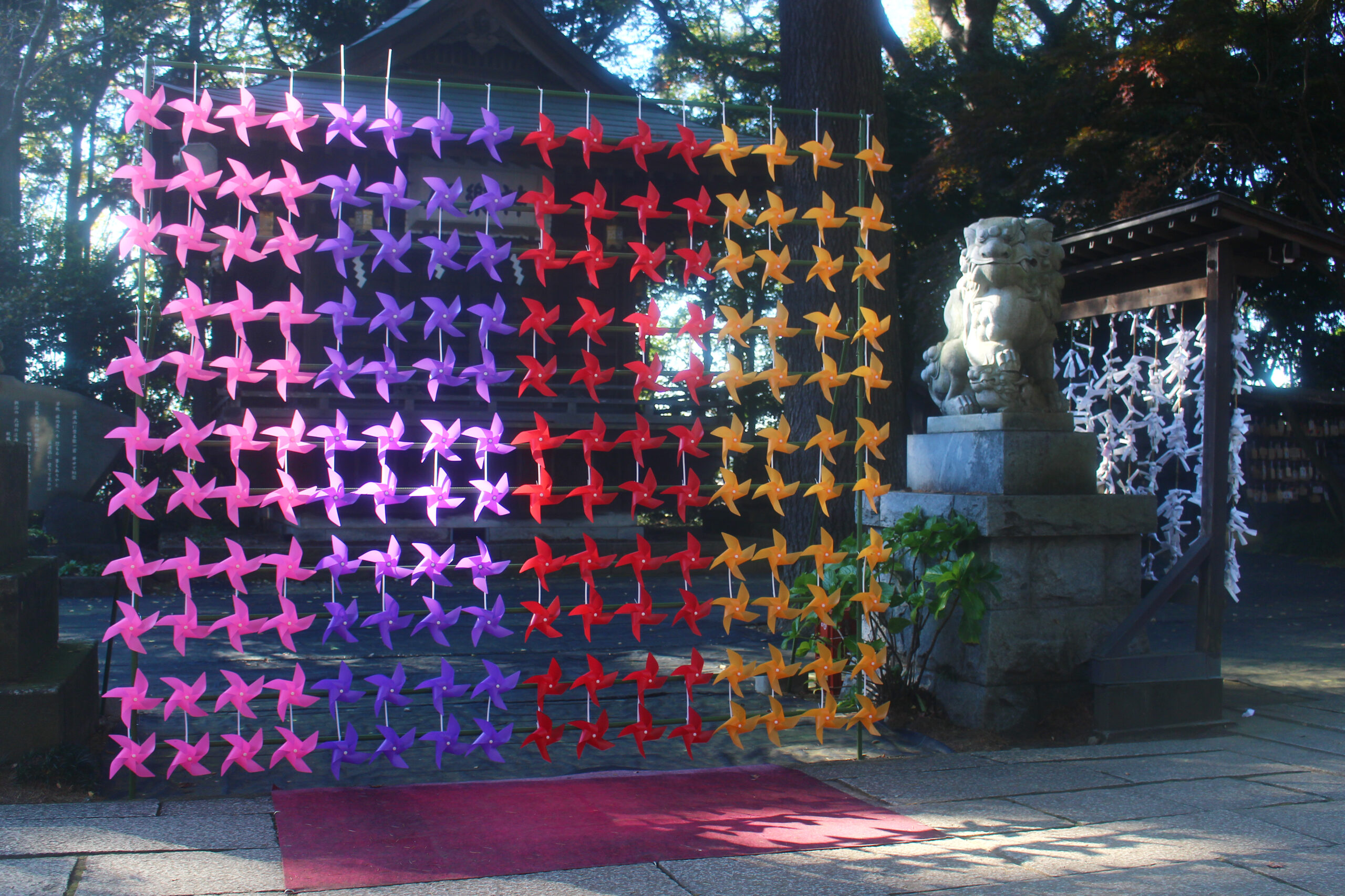 下妻市菊まつり