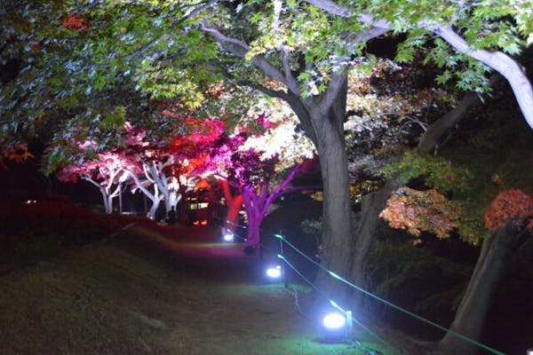 Sshc5ha6hecaem Sshc5ha6hecaem