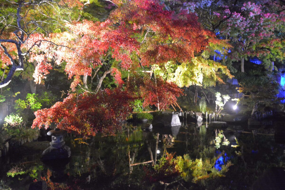 鎌倉・長谷寺の紅葉ライトアップが幻想的！期間限定のかわいい刺繍御朱印も！