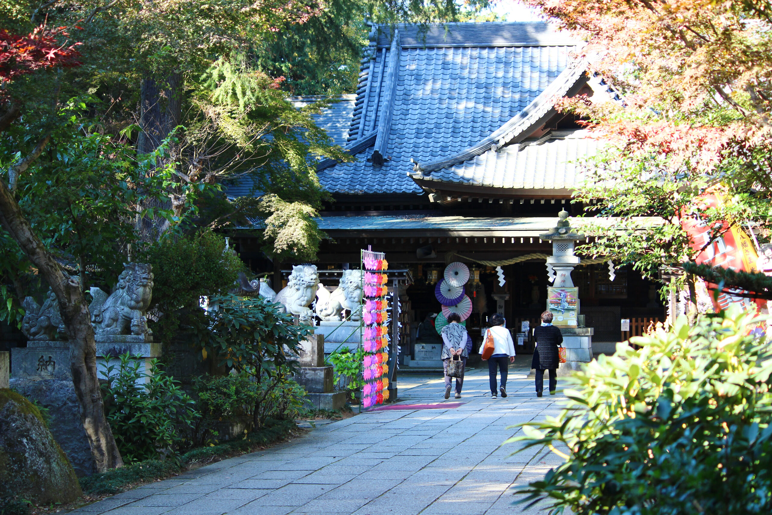 下妻市菊まつり