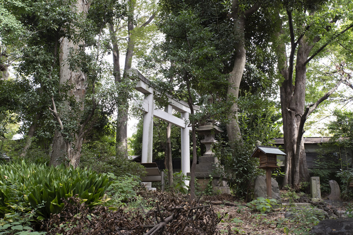 代々木八幡宮15