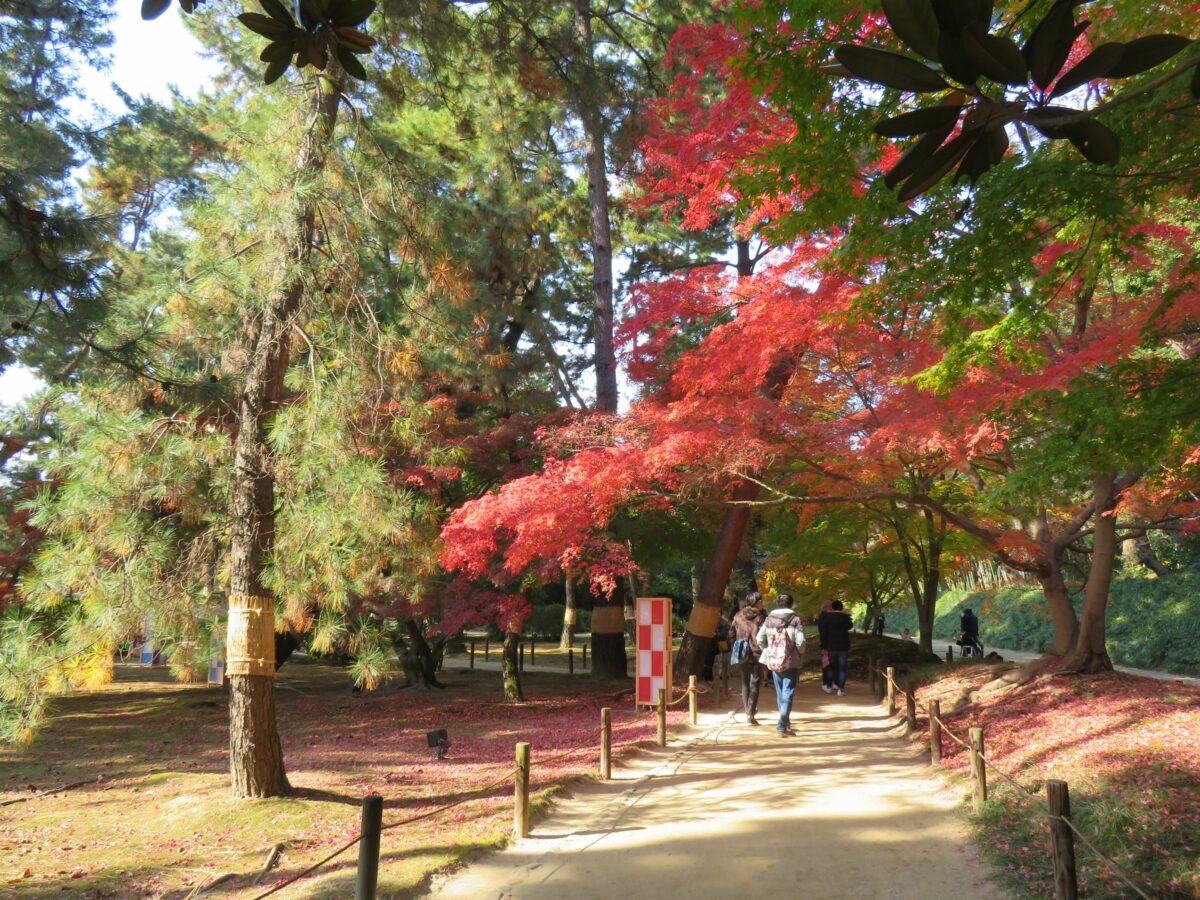 後楽園の紅葉