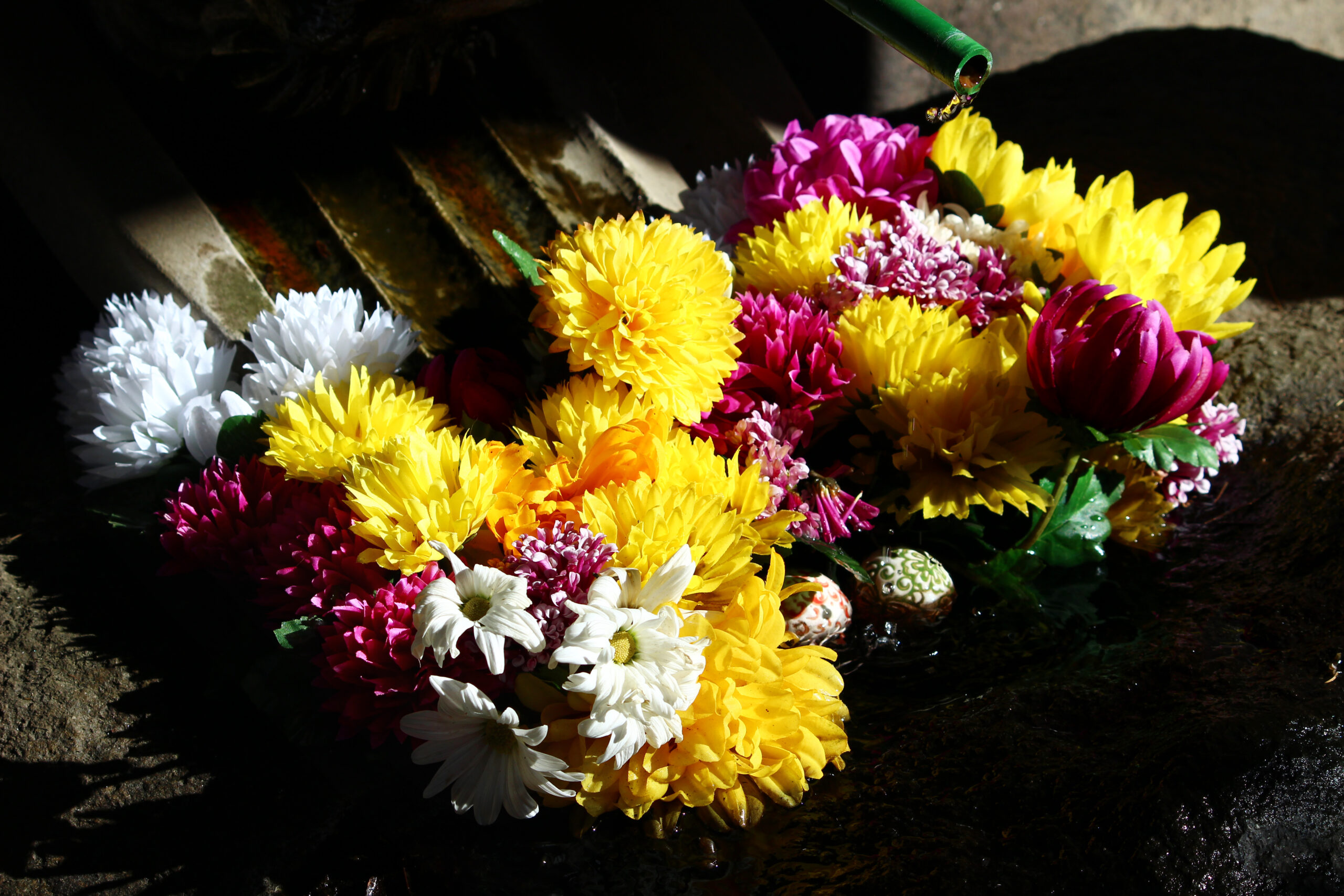 下妻市菊まつり