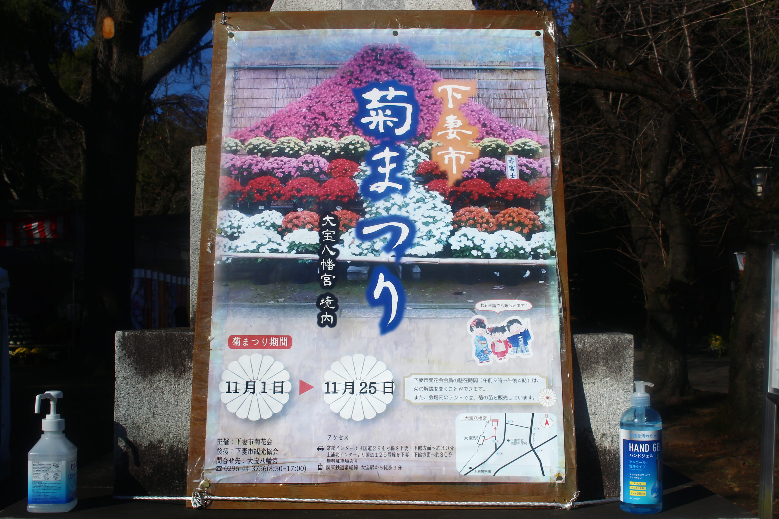 下妻市菊まつり