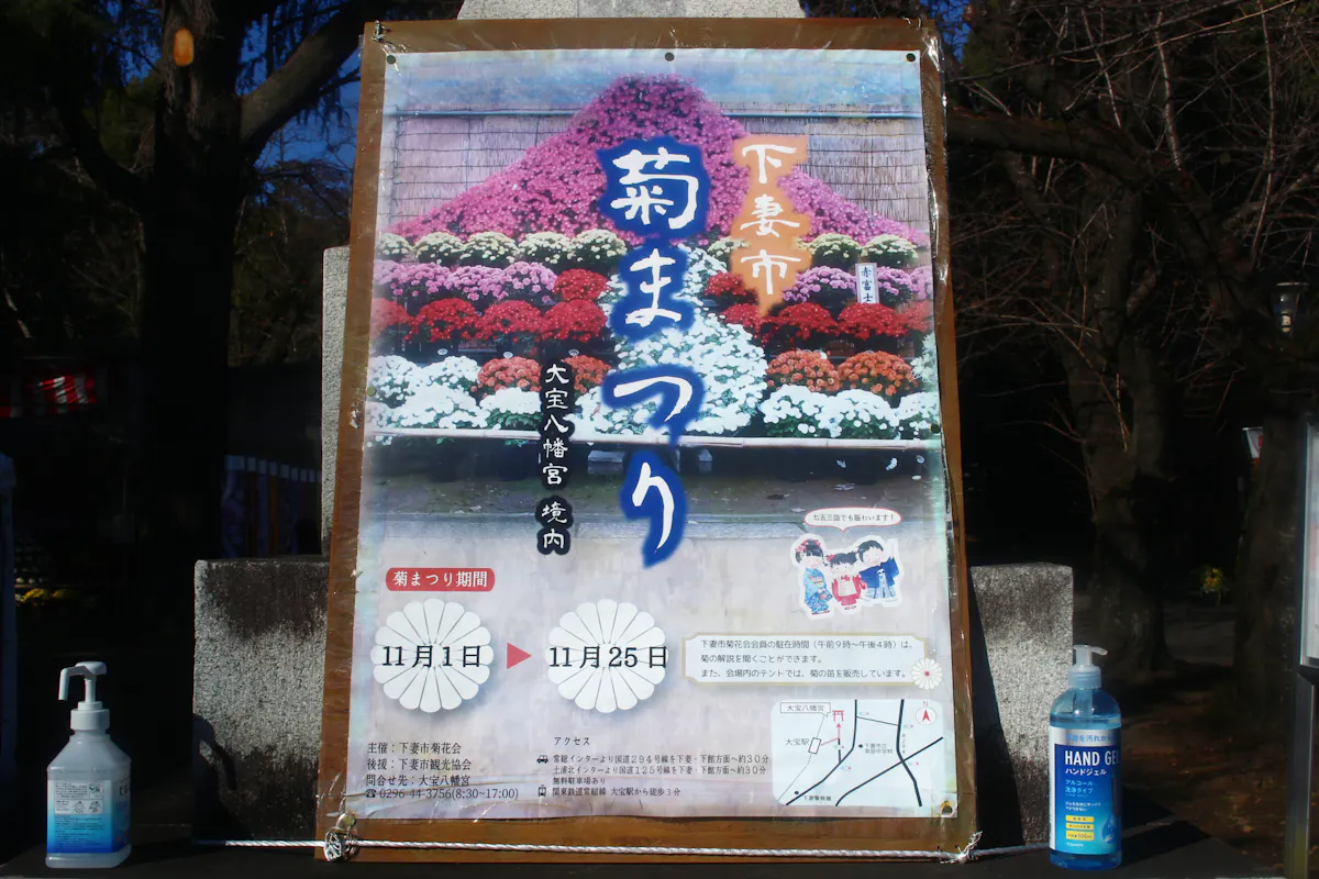 下妻市菊まつり21開催中 関東最古の八幡様を彩る秋の花 名物グルメも紹介 オマツリジャパン あなたと祭りをつなげるメディア 下妻市菊まつり21開催中 関東最古の八幡様を彩る秋の花 名物グルメも紹介 オマツリジャパン あなたと祭りをつなげるメディア