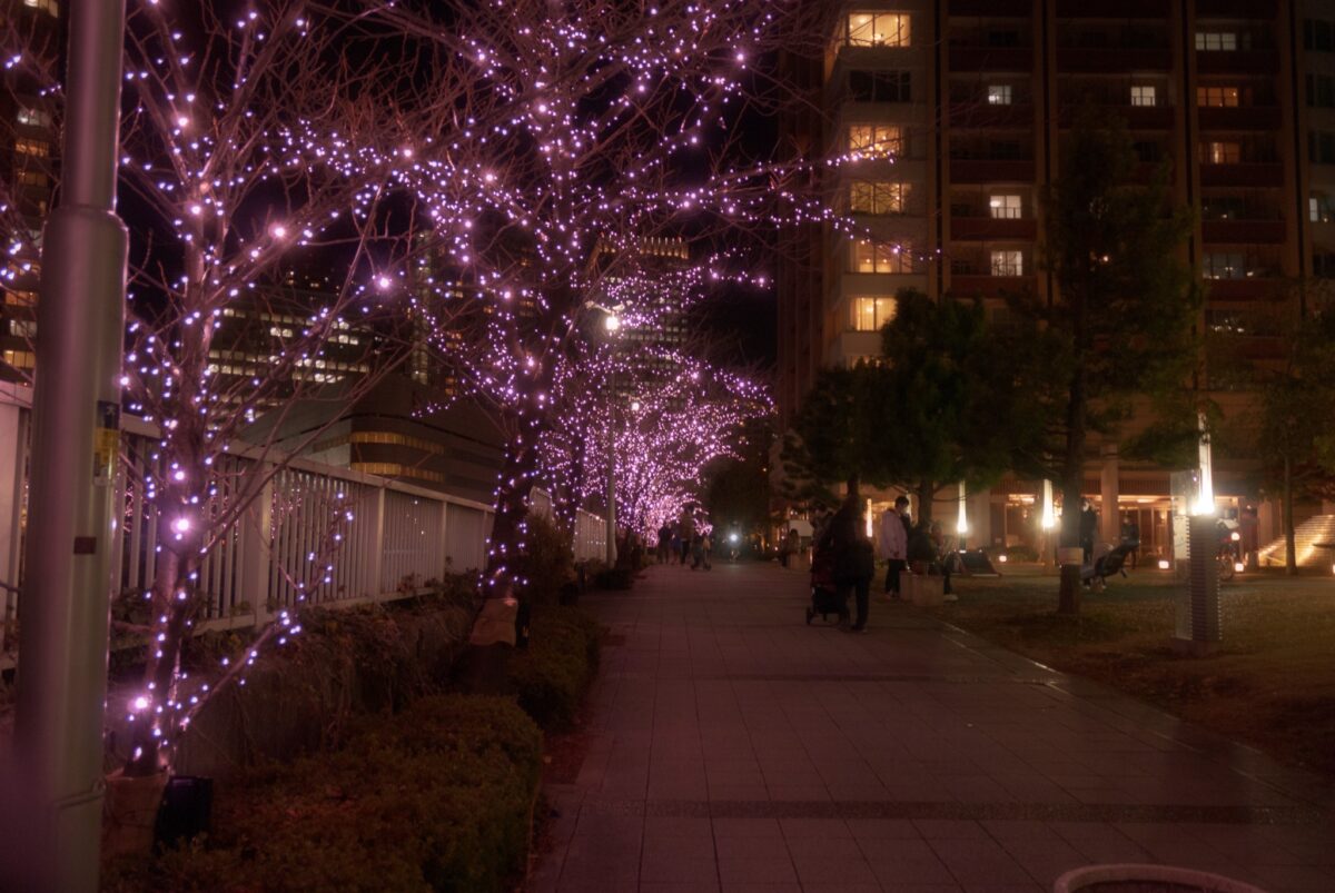 目黒川みんなのイルミネーション2021