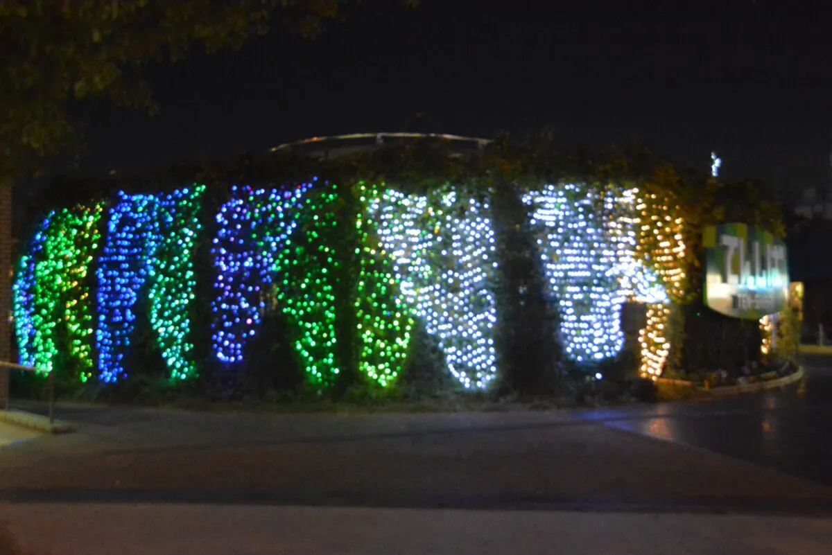 天王寺のイルミネーション てんしば イーナ ミオ 阿部野橋に輝く光の演出 オマツリジャパン あなたと祭りをつなげるメディア 天王寺のイルミネーション てんしば イーナ ミオ 阿部野橋に輝く光の演出 オマツリジャパン あなたと祭りをつなげるメディア